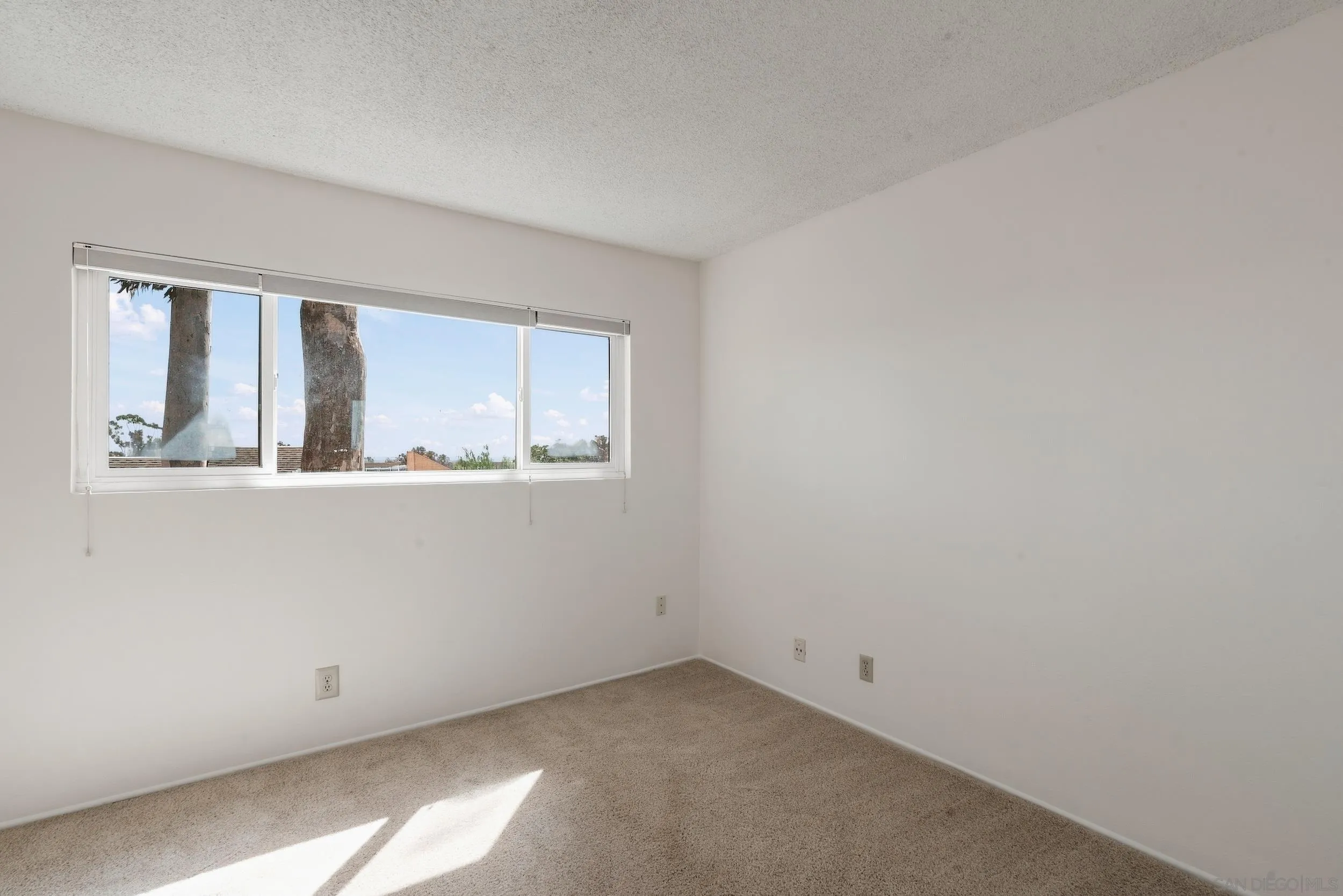 Empty carpeted room with a wide window and sunlight across the floor.