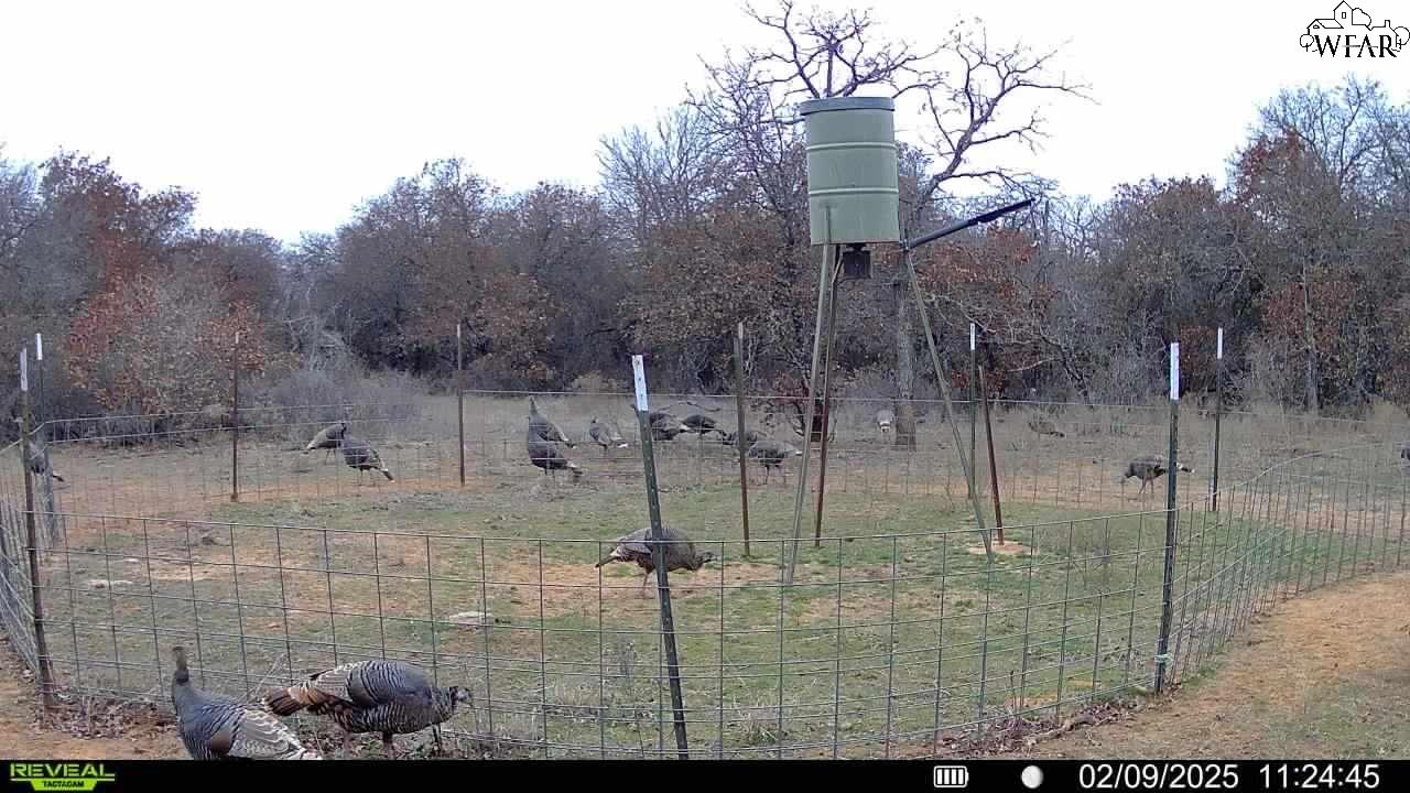 Tbd Tract 1 SUNSET LANE