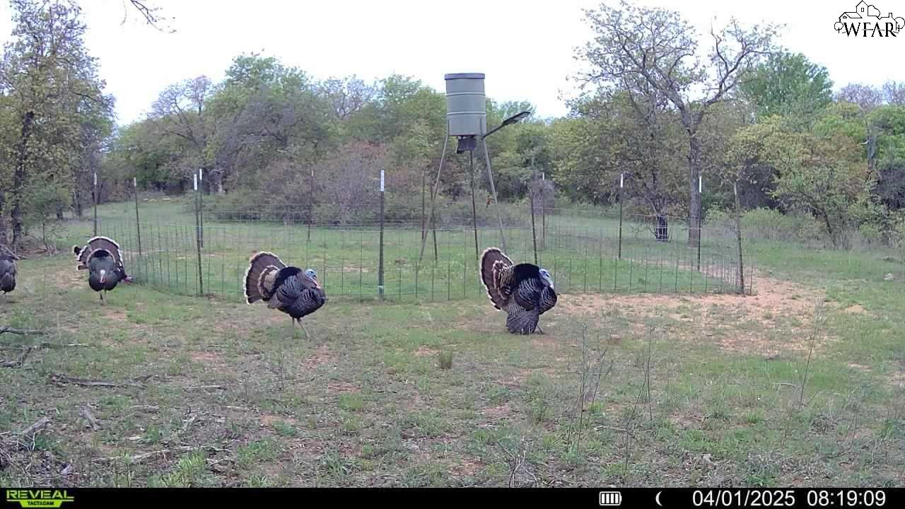 Tbd Tract 1 SUNSET LANE