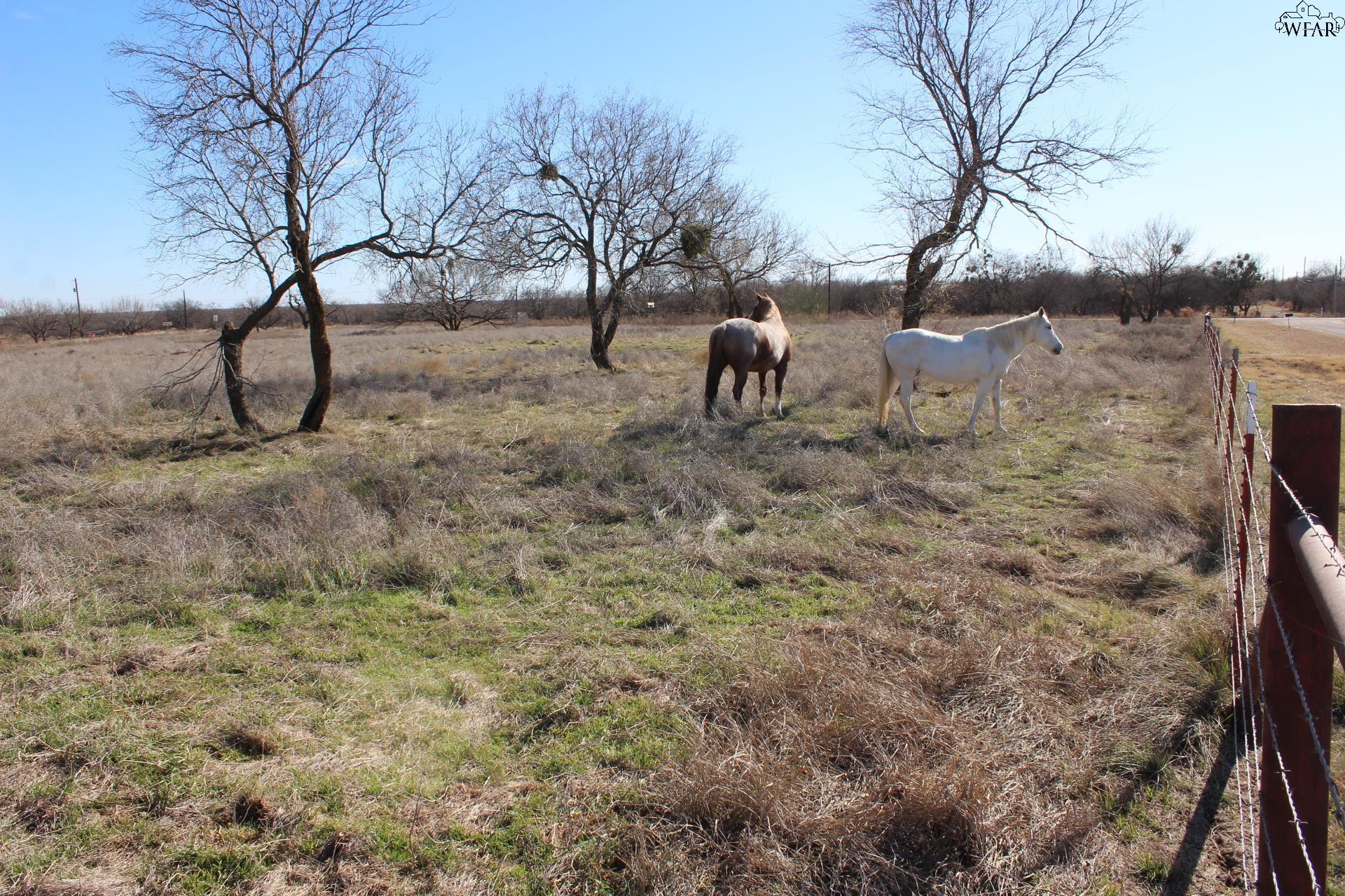 TBD BLUE HERON TRAIL