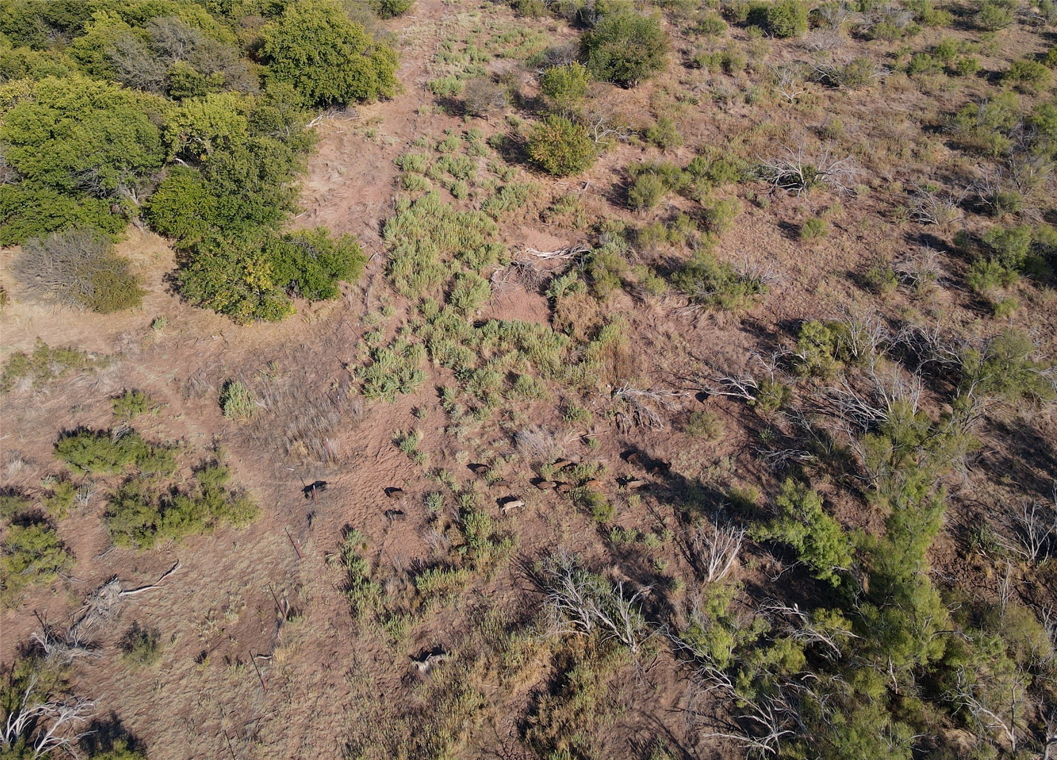 1620 S Williams Road