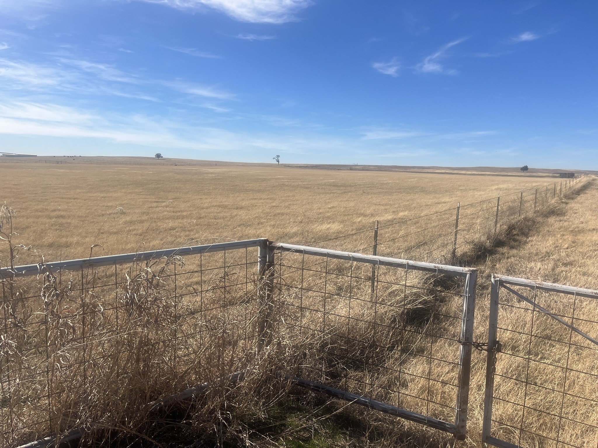 436 County Line Road Tract 2