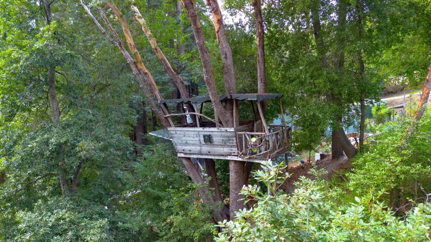 16239 Long Branch RD