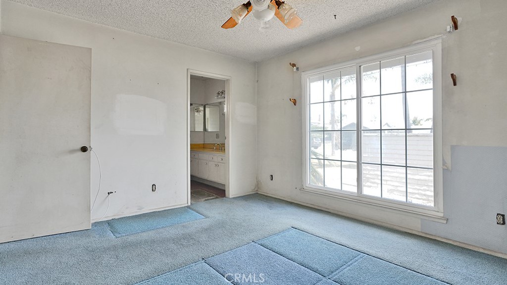 17283 Buttonwood