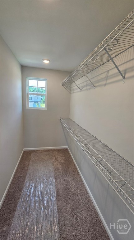 203 Chime Creek Drive
