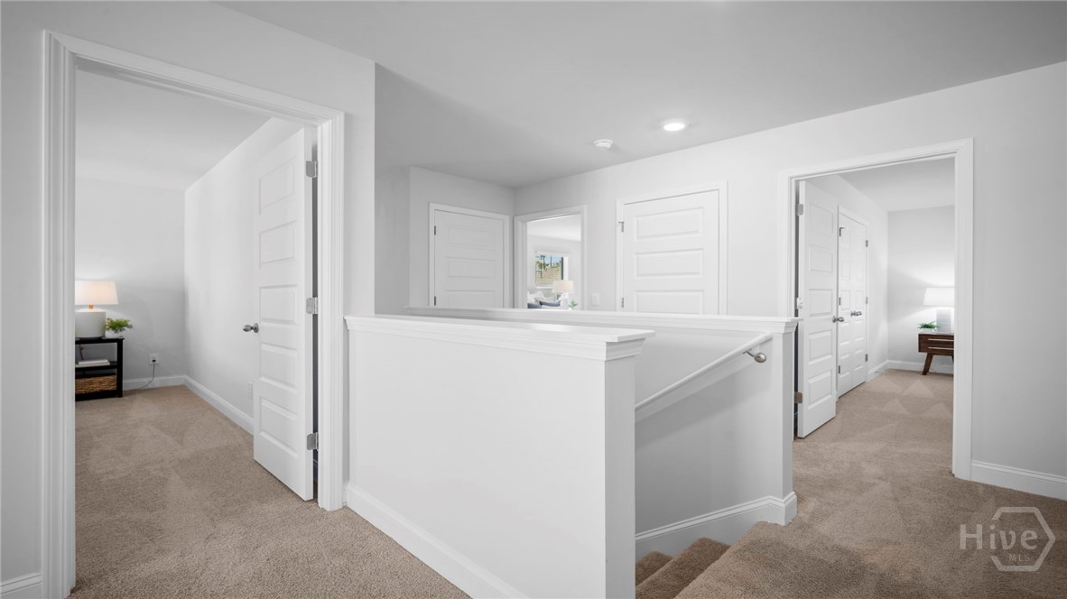 28 cypress Loop