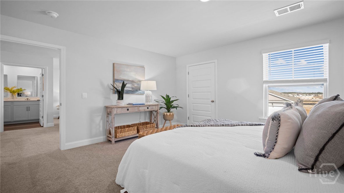28 cypress Loop