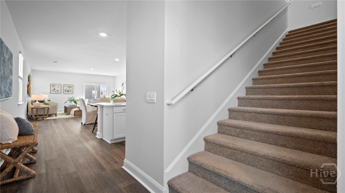 28 cypress Loop