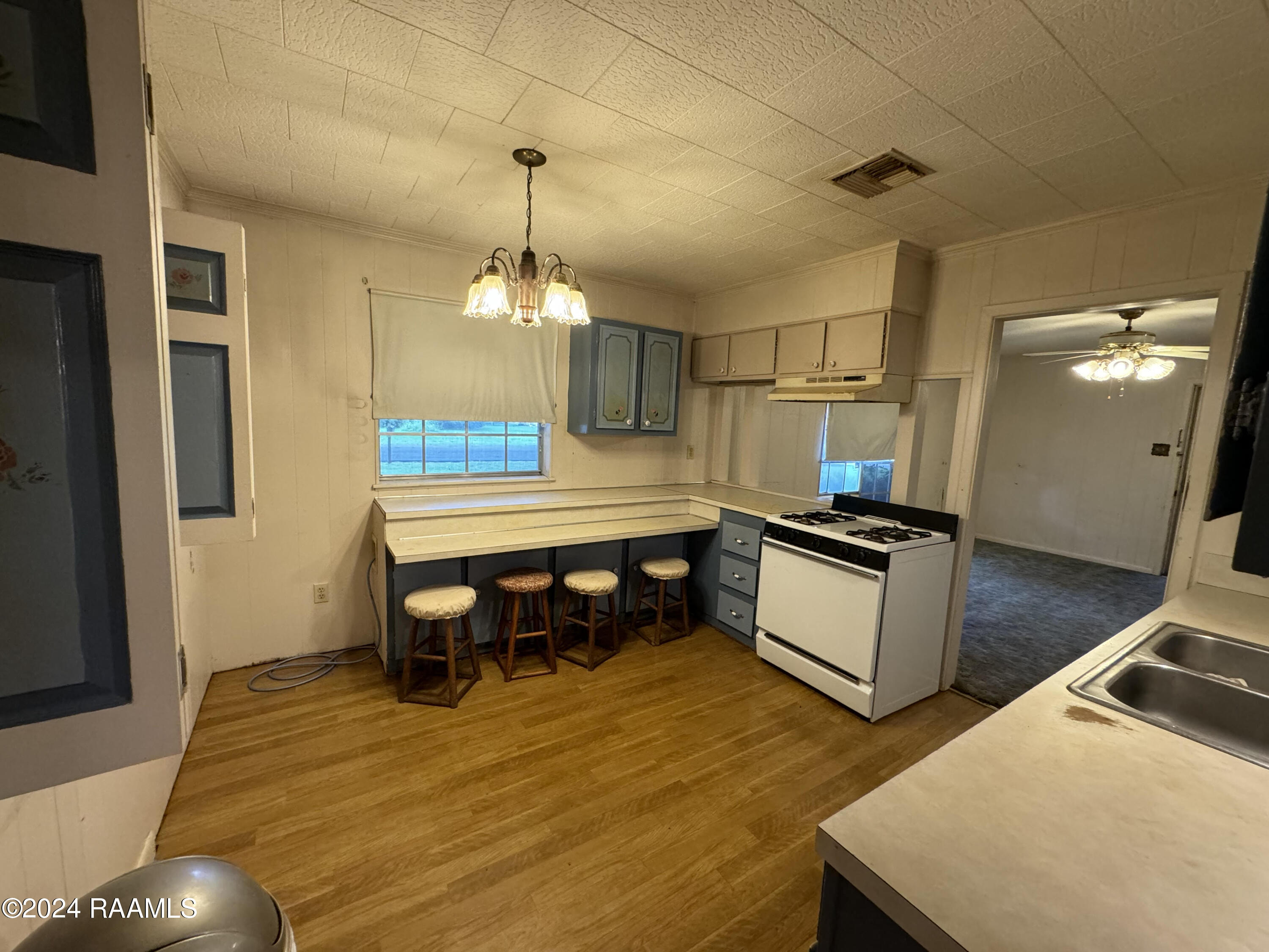 204 Blue Rose Drive