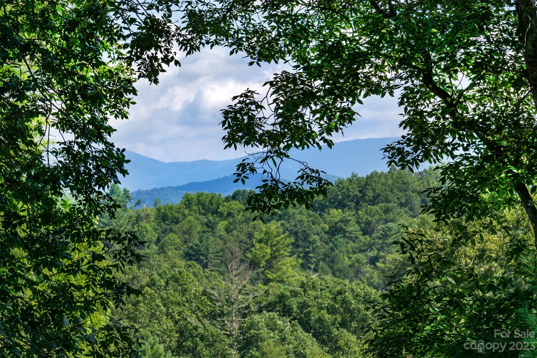 3679 Bull Creek Road