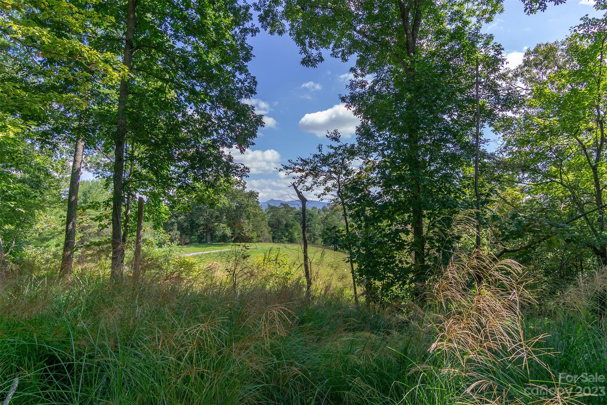 3679 Bull Creek Road