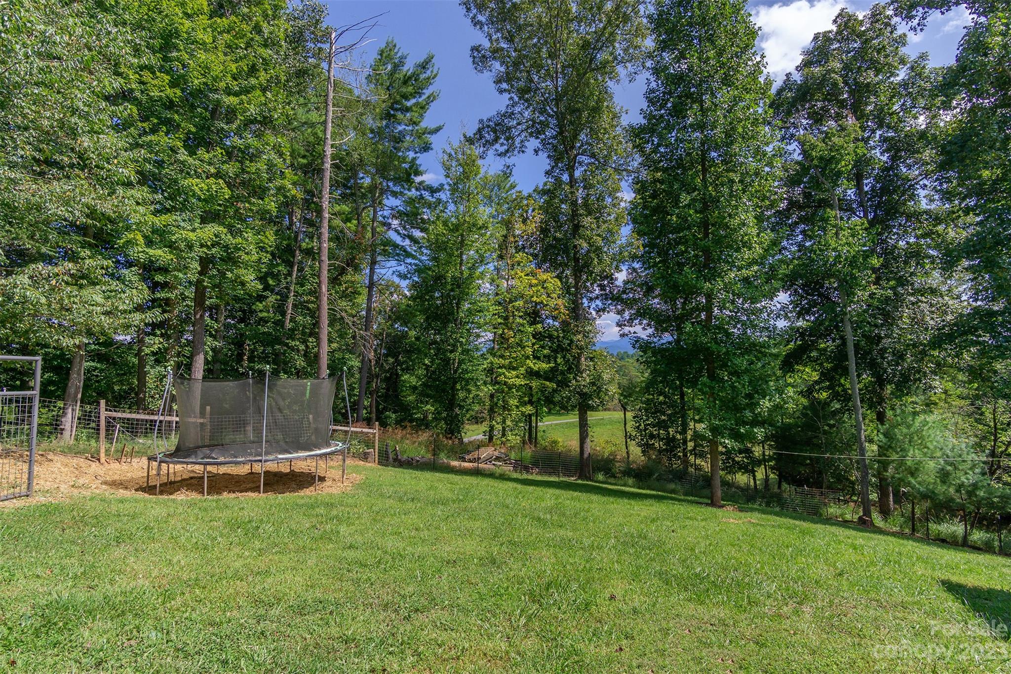 3679 Bull Creek Road