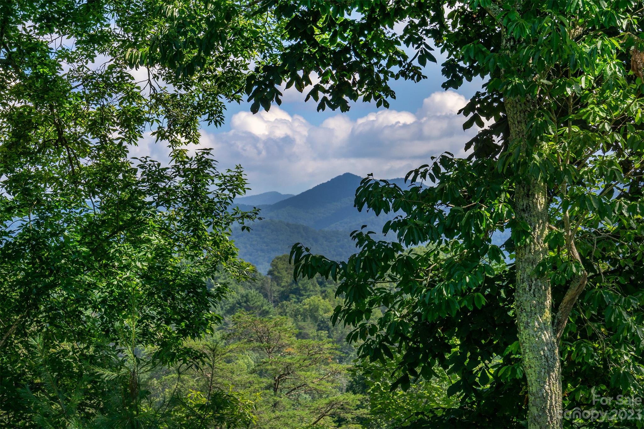 3679 Bull Creek Road
