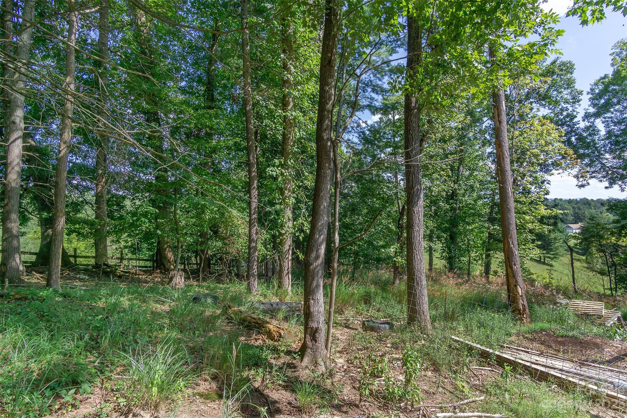 3679 Bull Creek Road