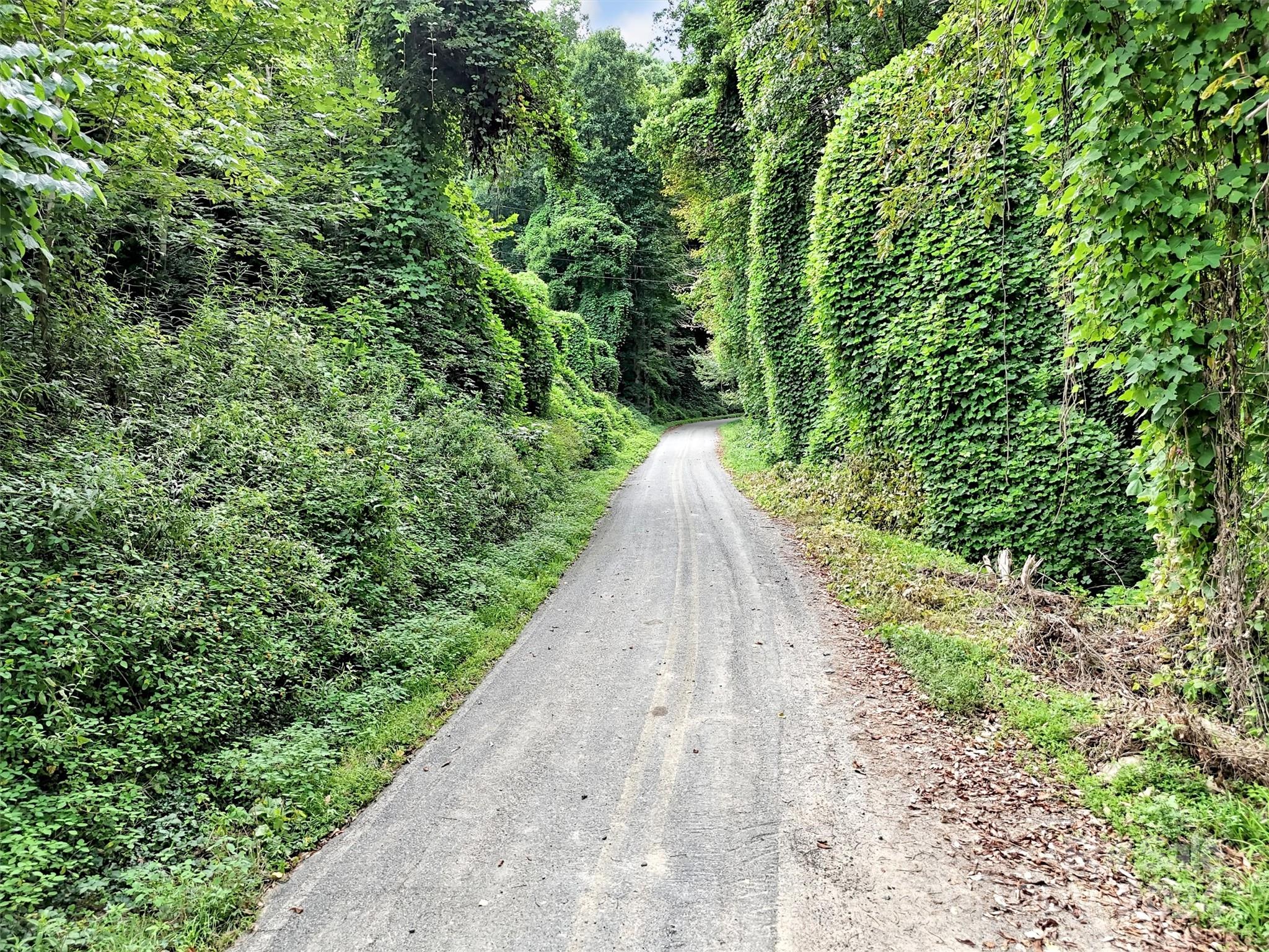 95 Jarrett Cove Road
