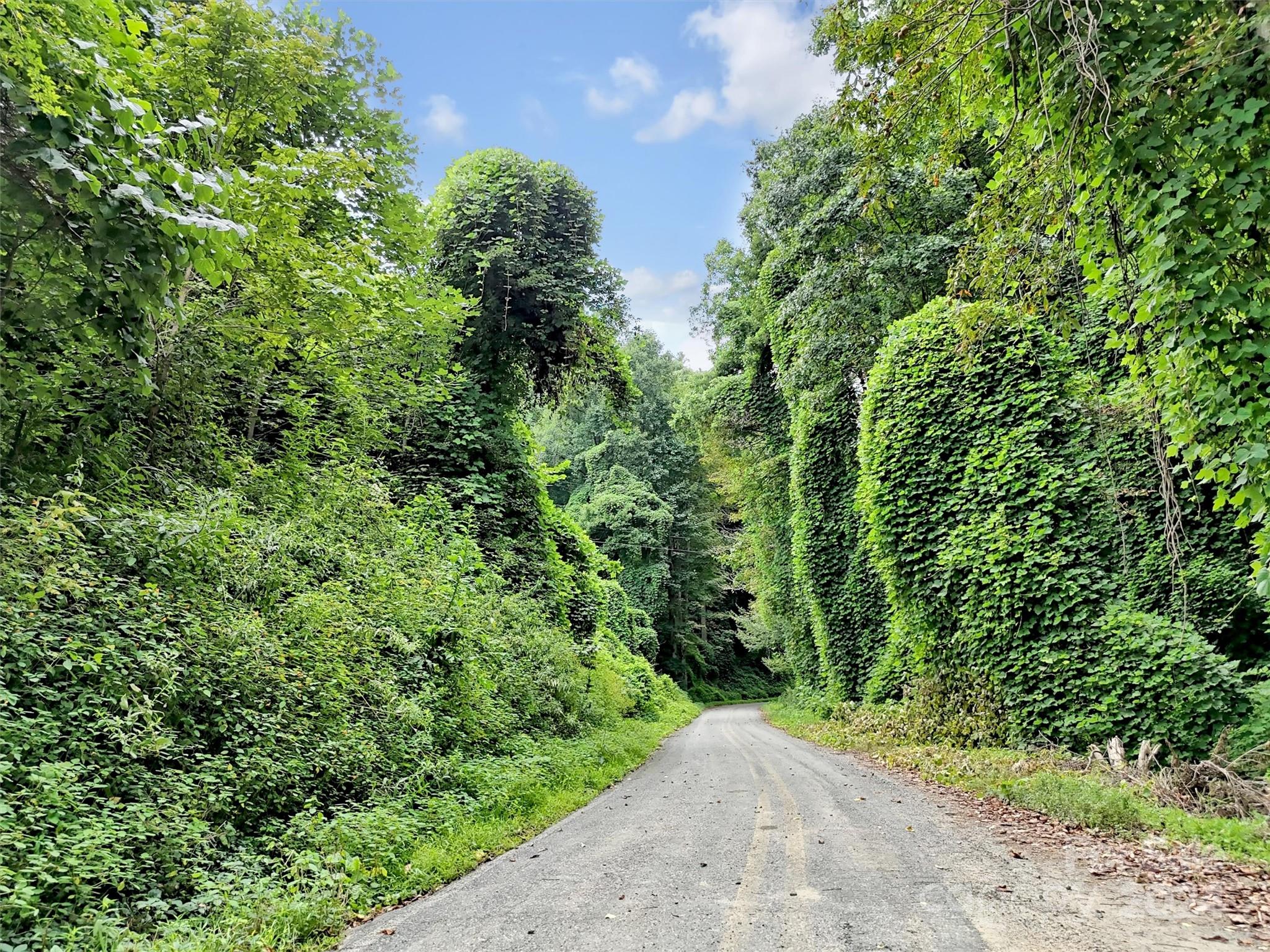 95 Jarrett Cove Road
