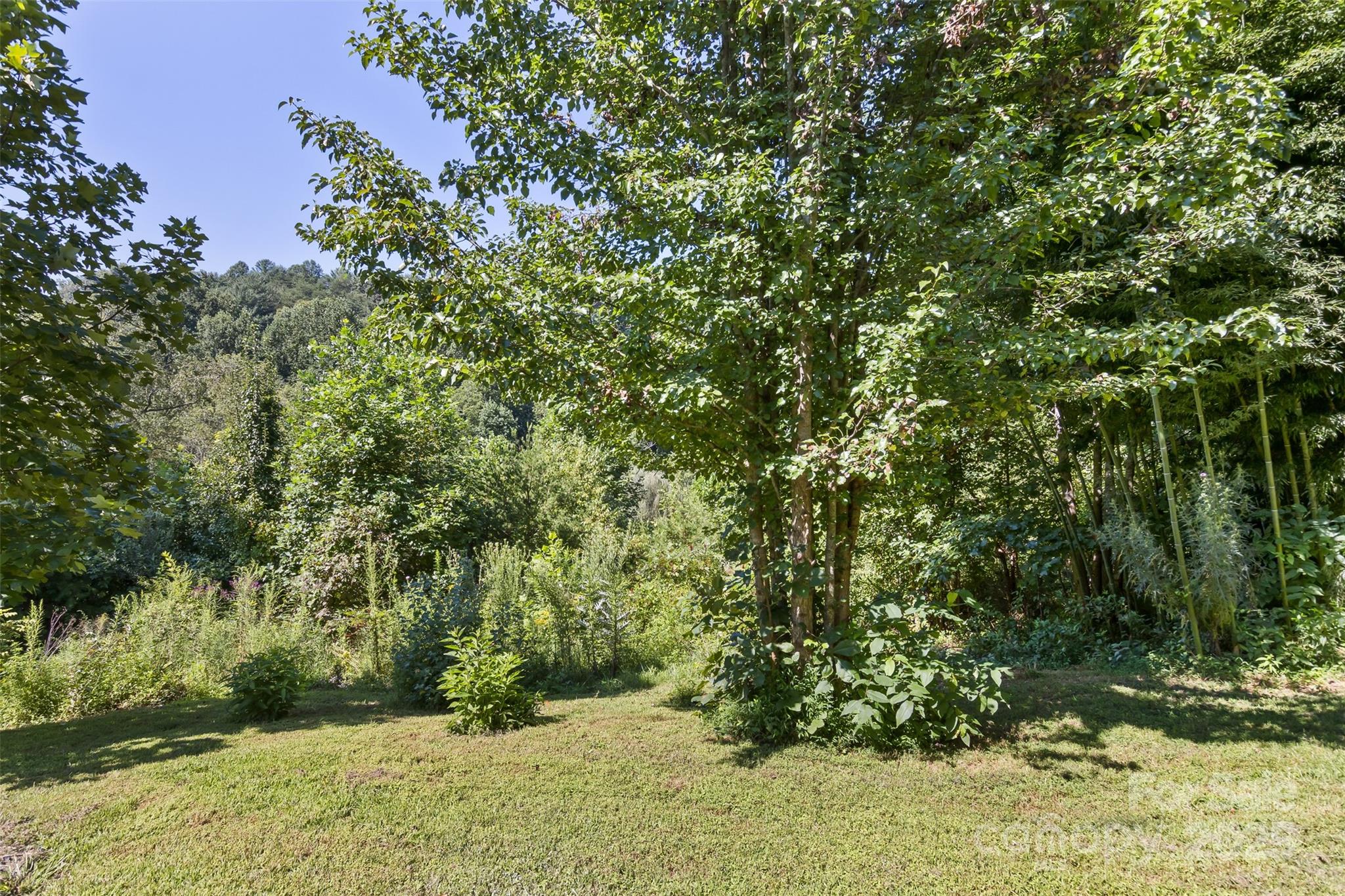 117 Old Dairy Drive
