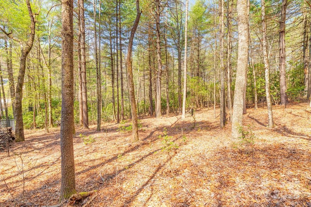 1415 Little River Campground Road