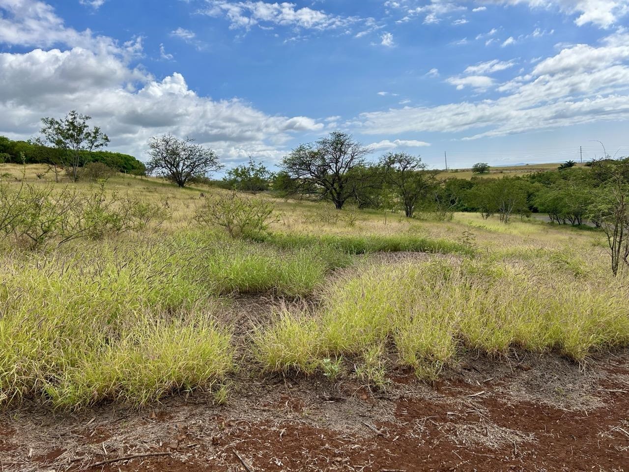 30 Opalipali Pl Unit: Lot 2