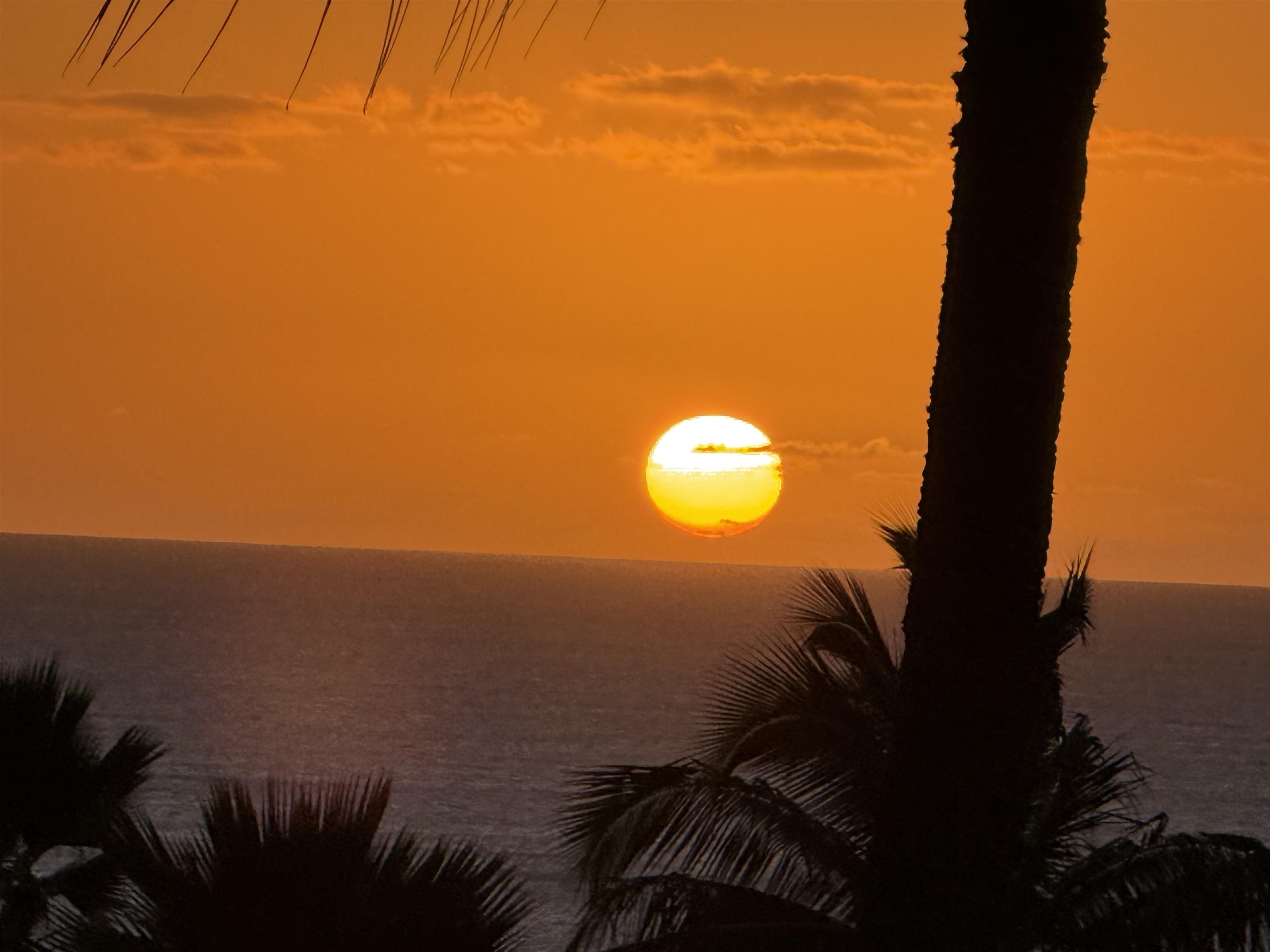 3150 WAILEA ALANUI Dr Unit: 2504