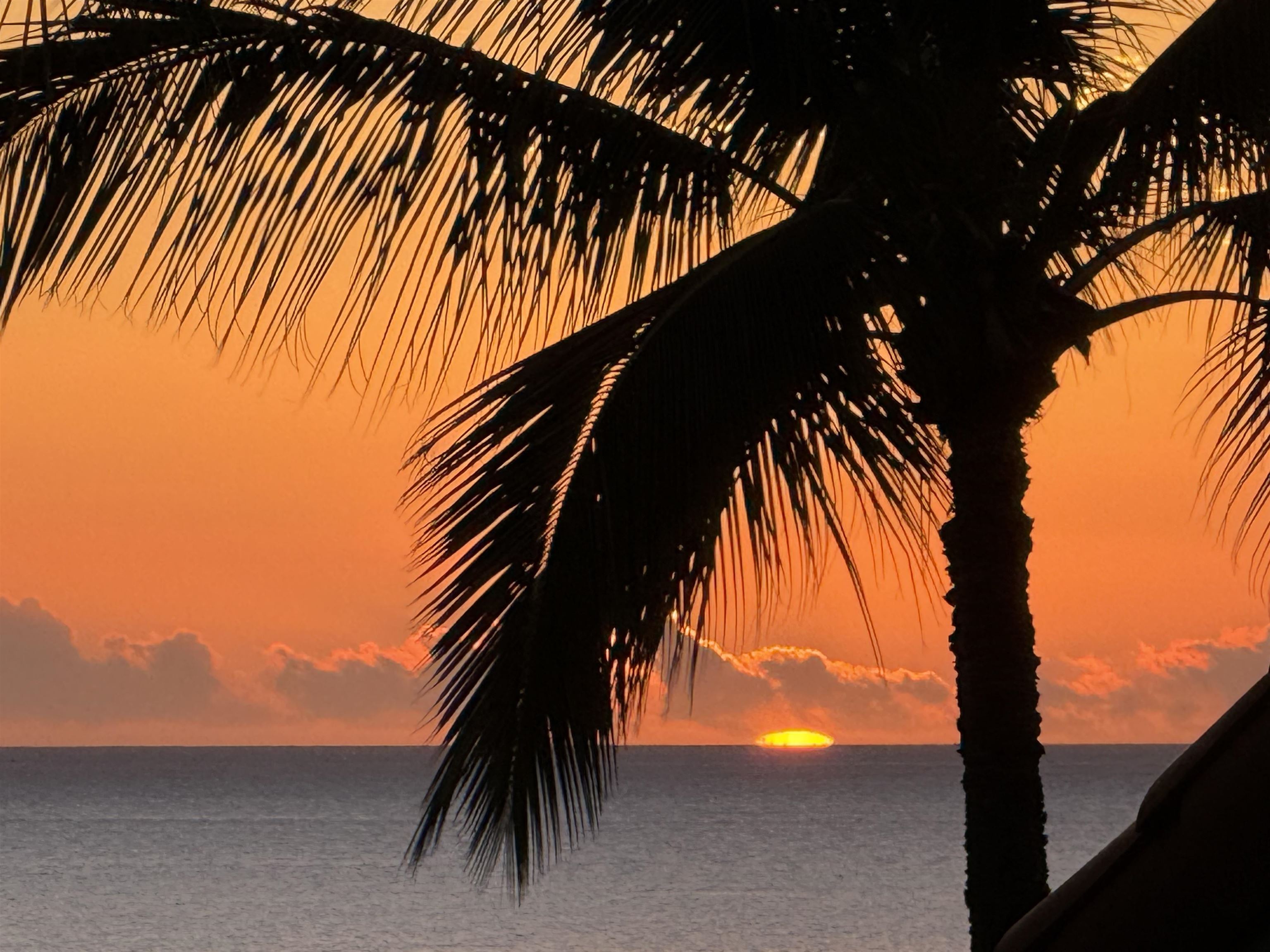 3150 WAILEA ALANUI Dr Unit: 2504