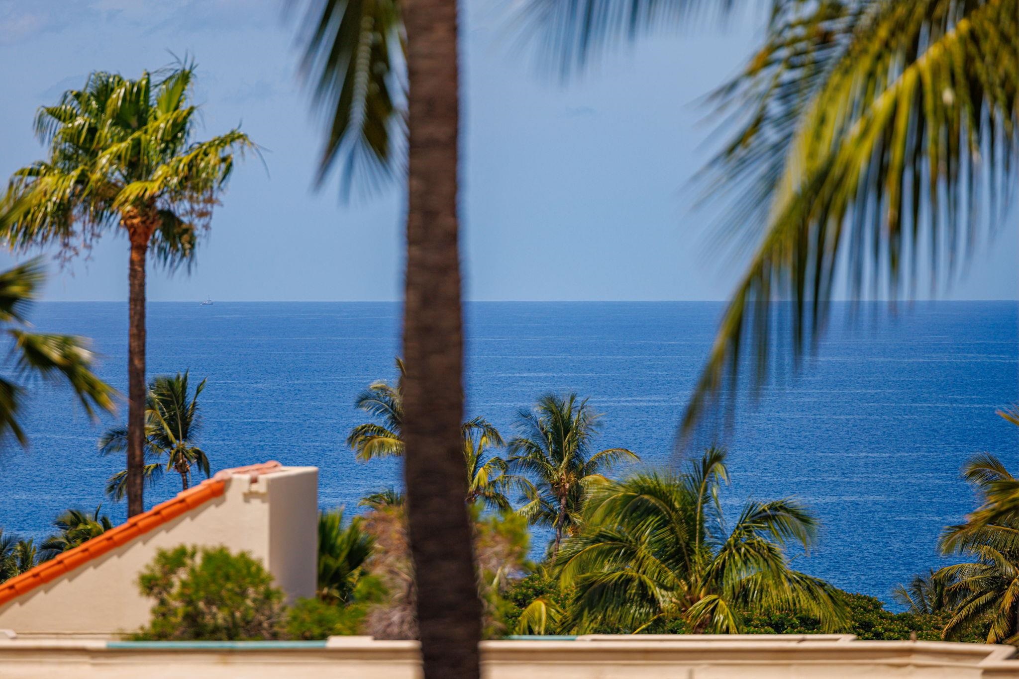 3150 WAILEA ALANUI Dr Unit: 2504