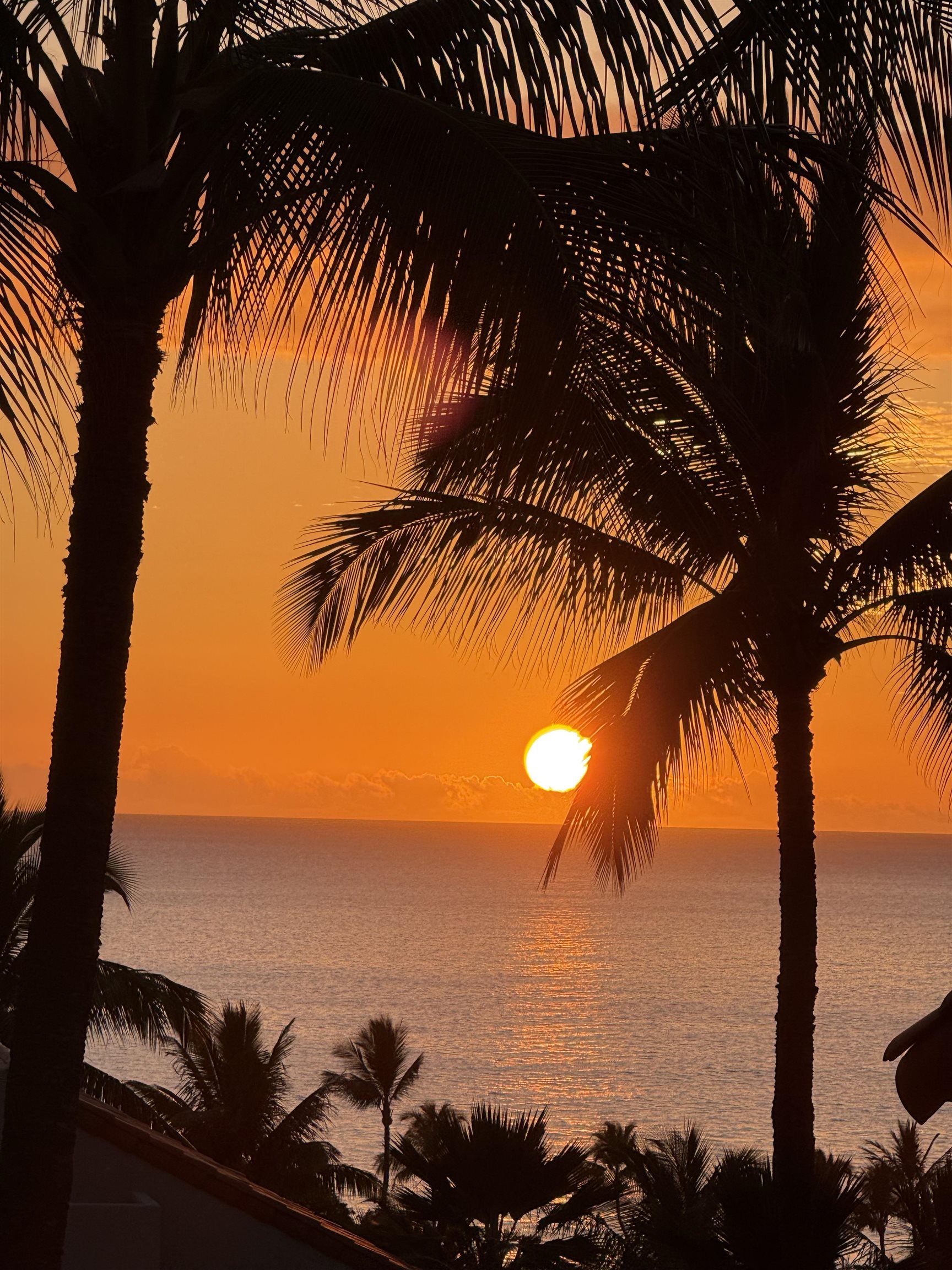 3150 WAILEA ALANUI Dr Unit: 2504