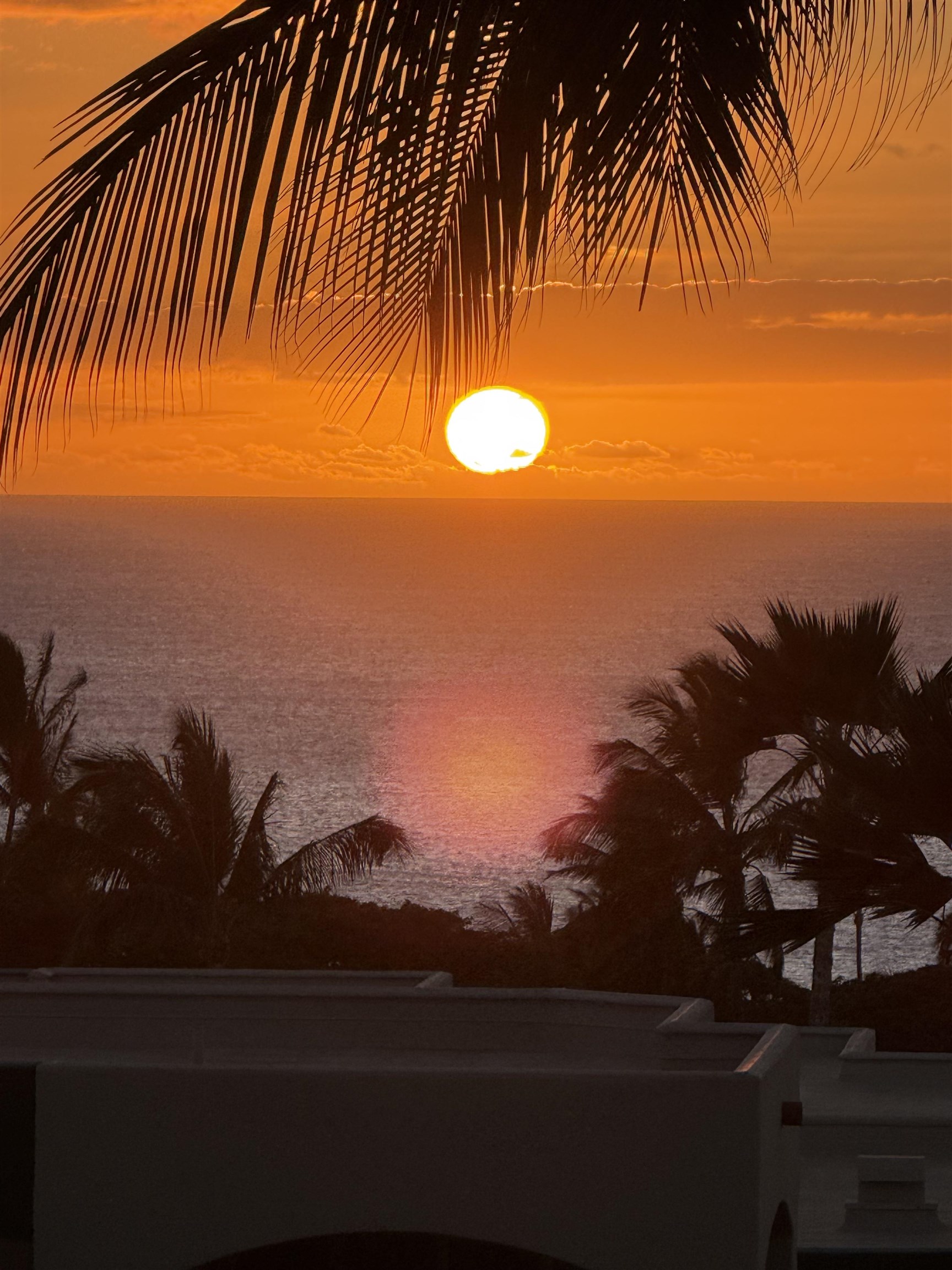 3150 WAILEA ALANUI Dr Unit: 2504