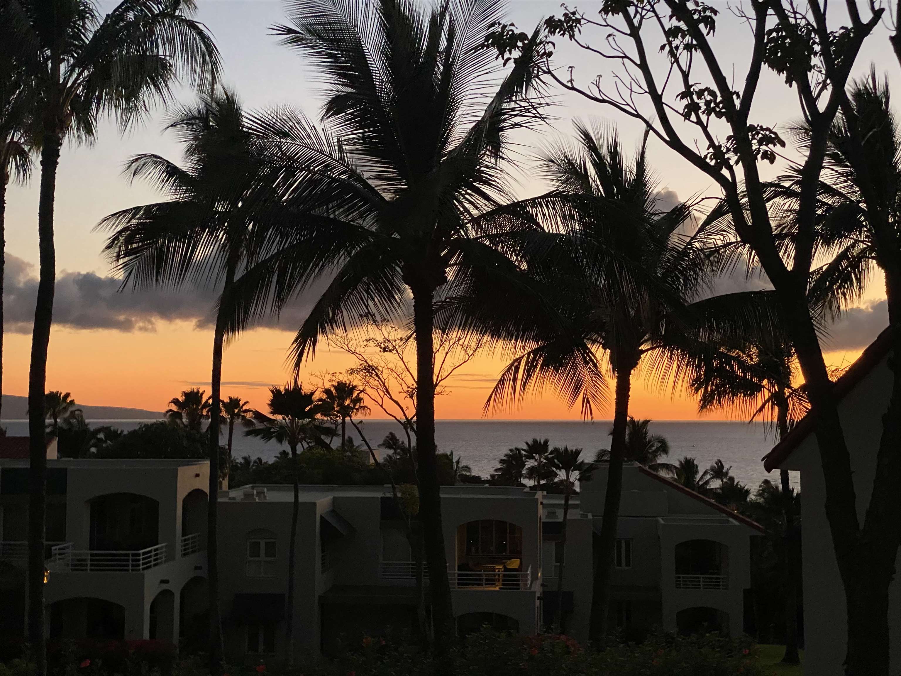 3150 WAILEA ALANUI Dr Unit: 2504