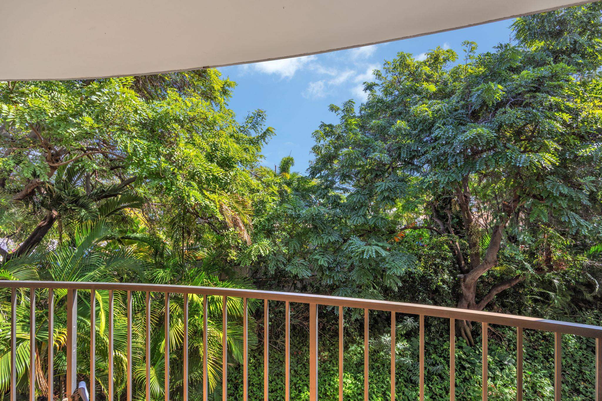 2124 AWIHI Pl Unit: 206