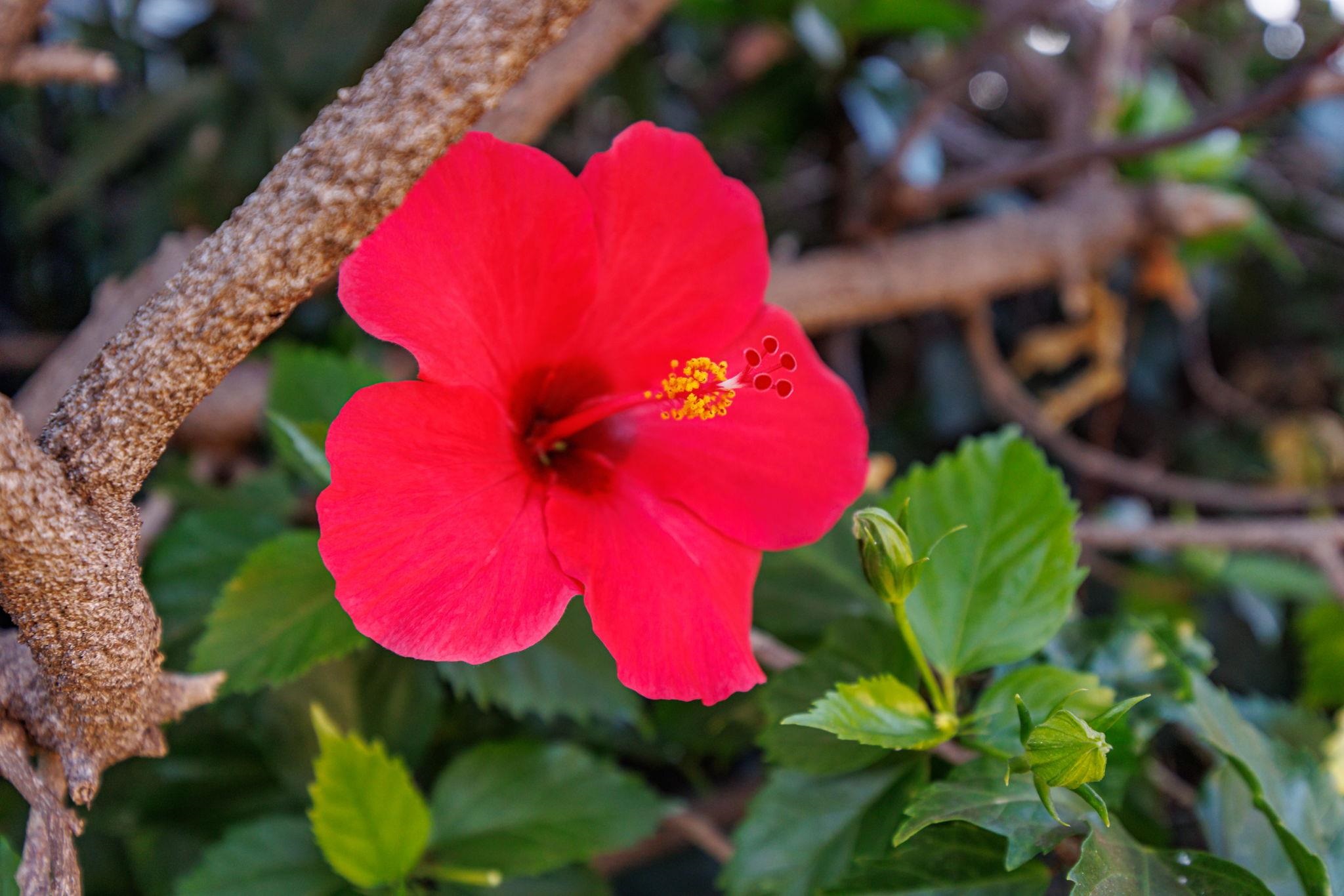 34 Wailana Pl Unit: 201