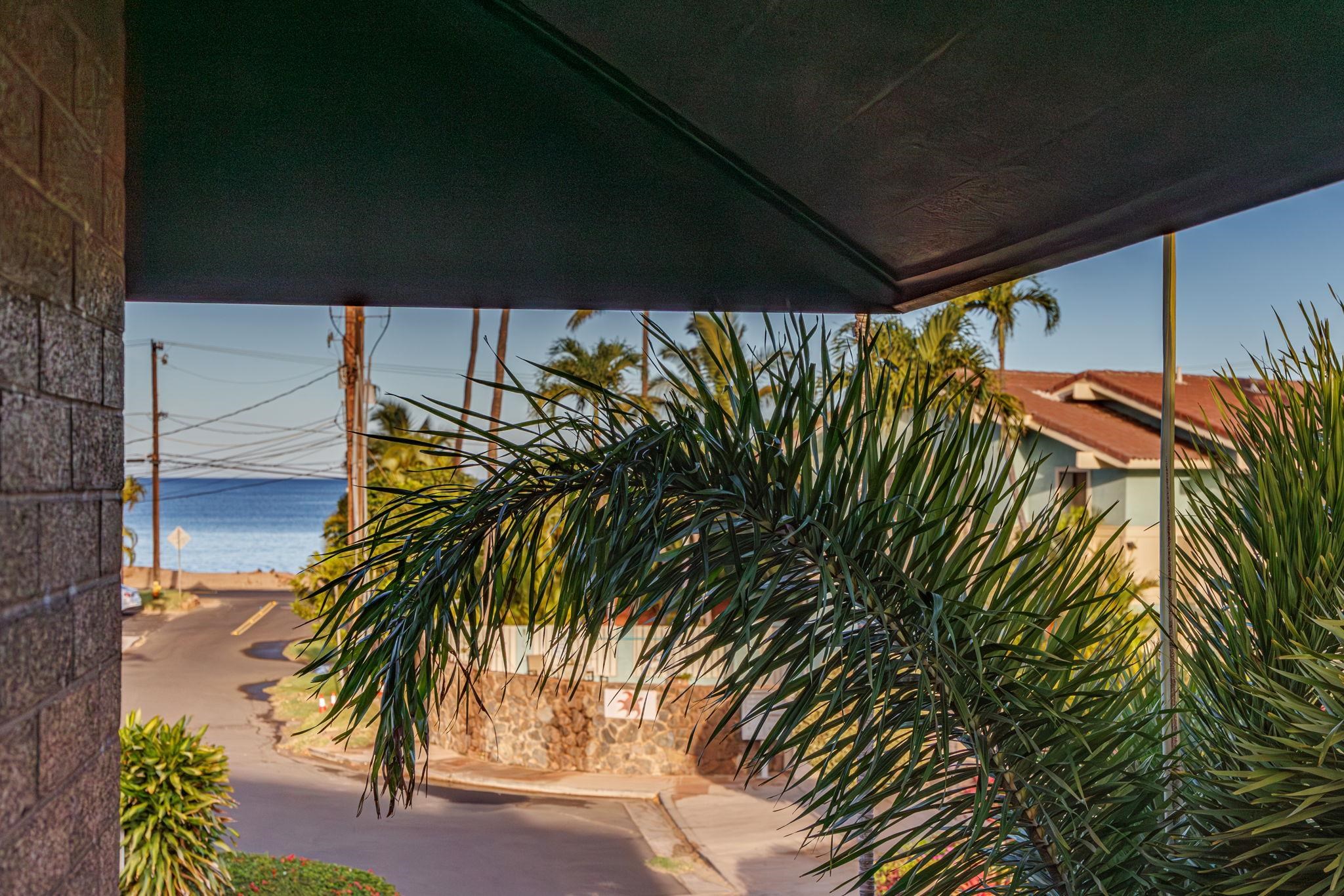 34 Wailana Pl Unit: 201