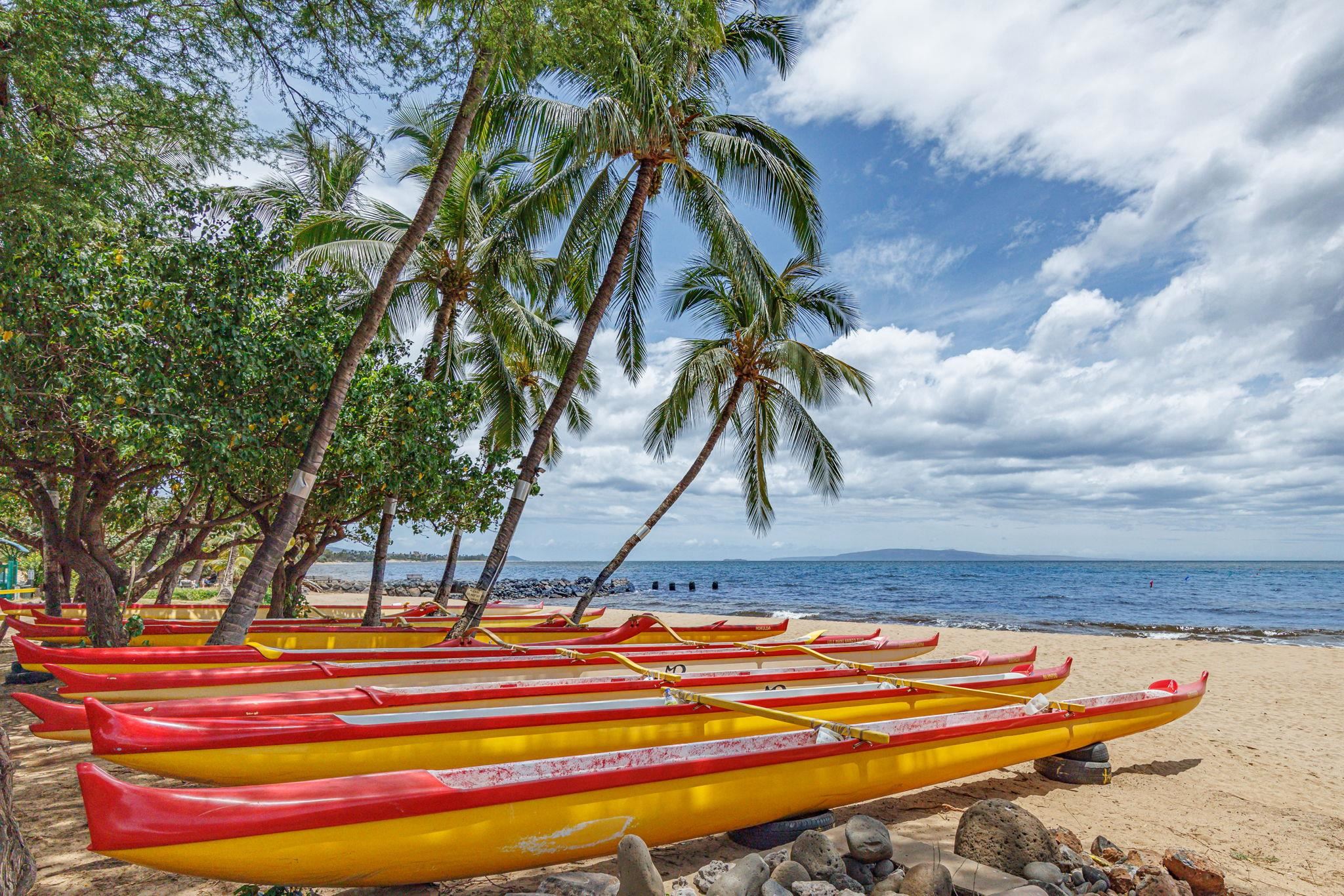 34 Wailana Pl Unit: 201