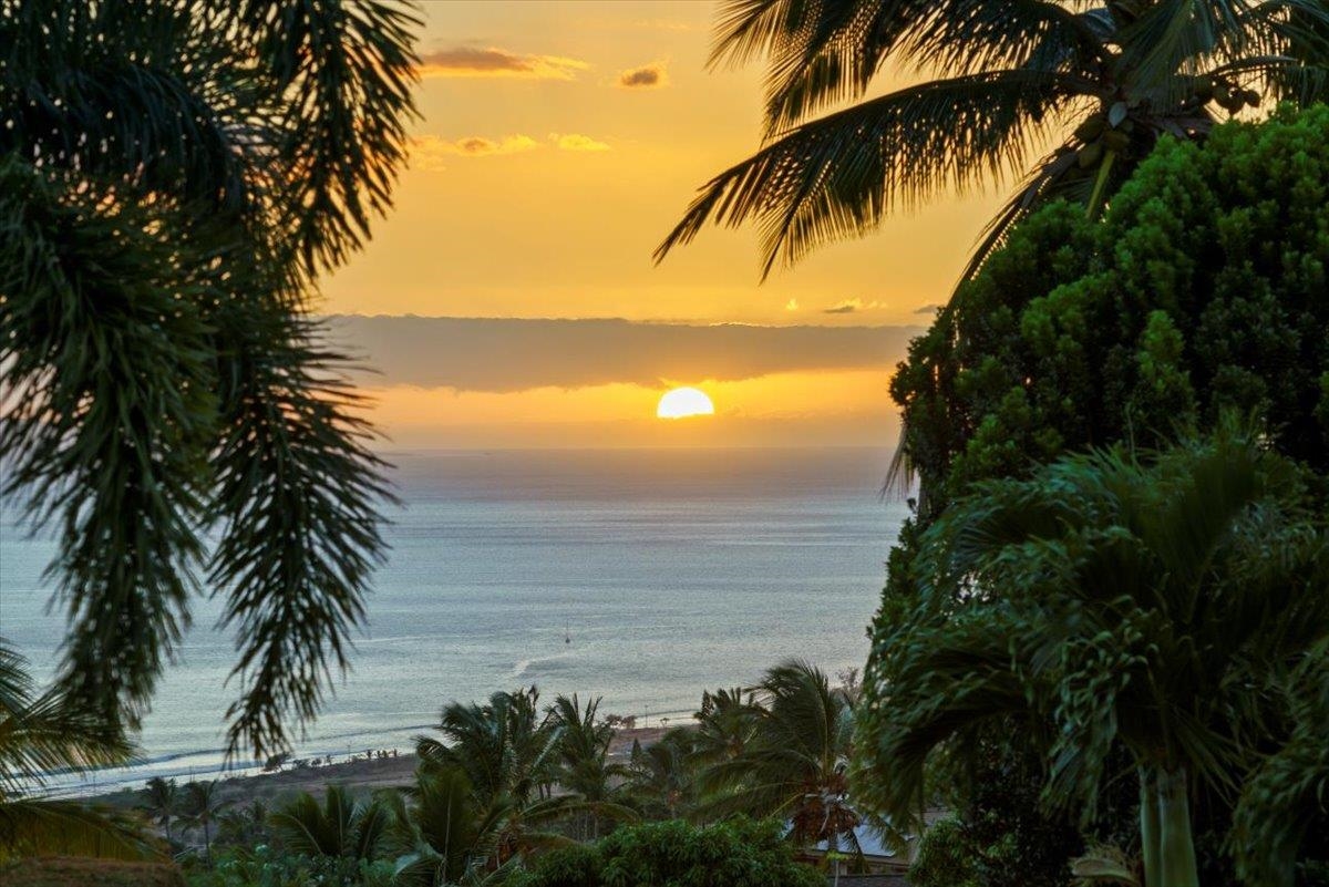 52 Lau Niu Way Unit: A