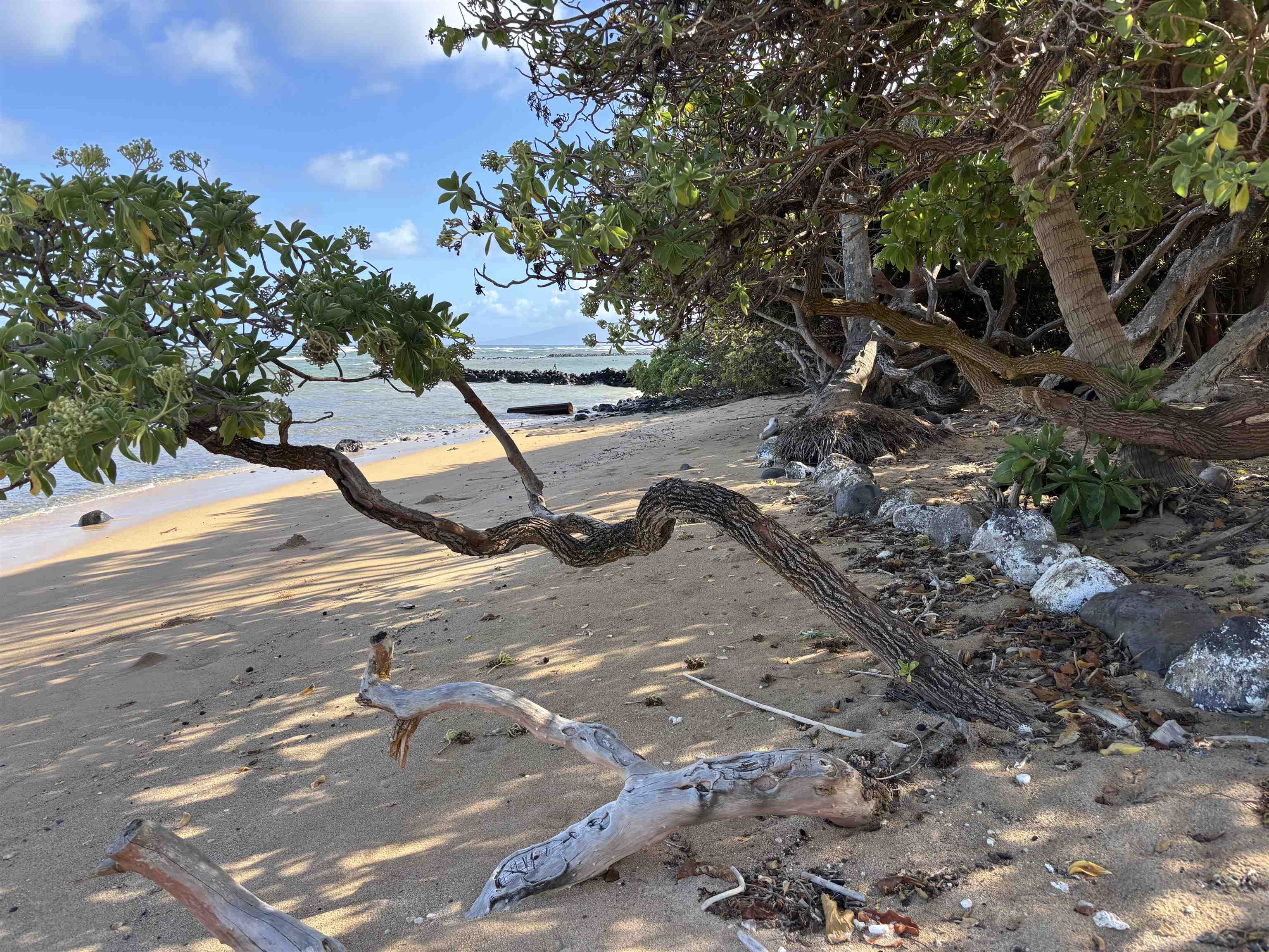 7142 Kahmehameha V Hwy Unit: B102