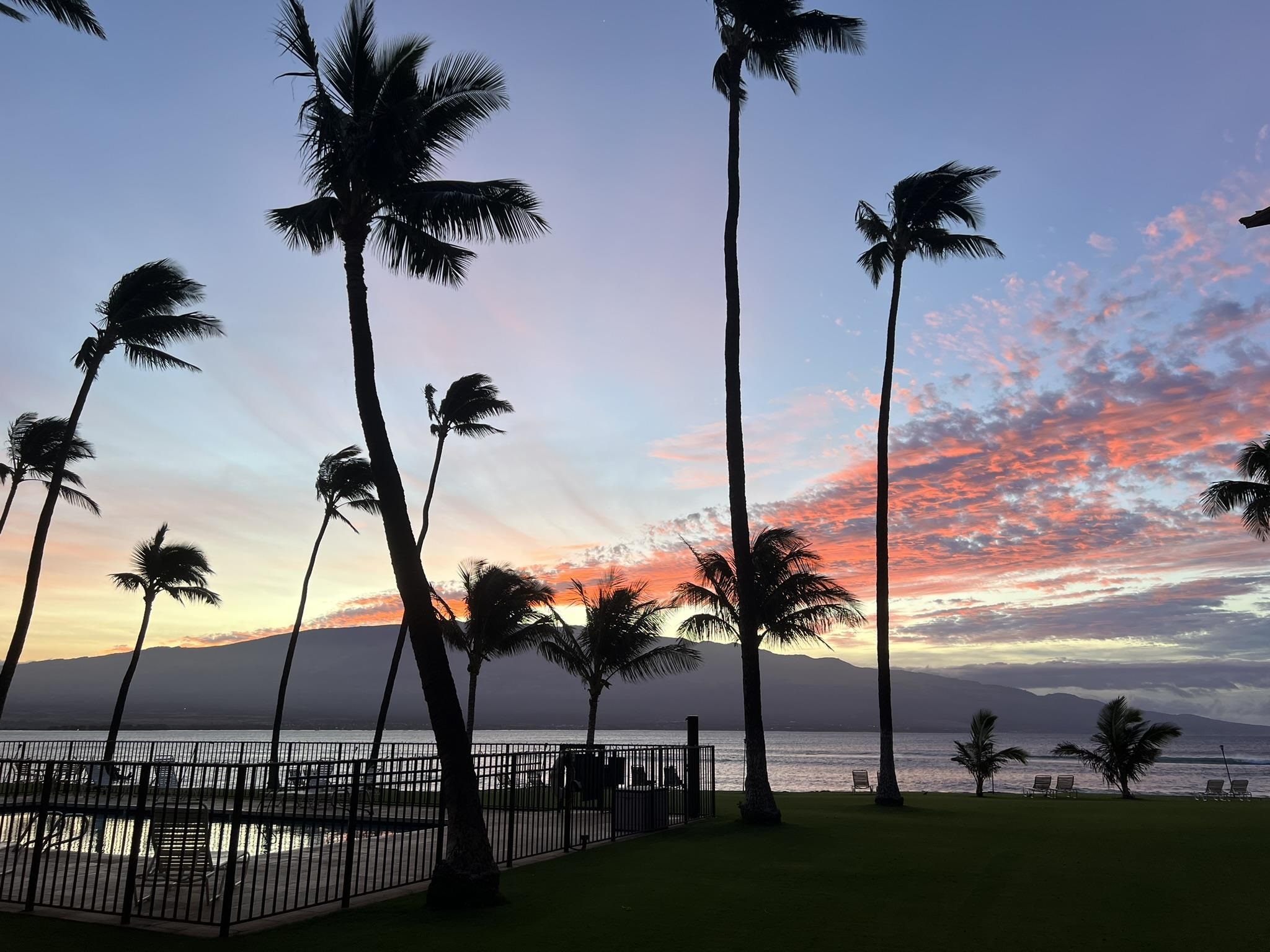 70 HAUOLI St Unit: 404