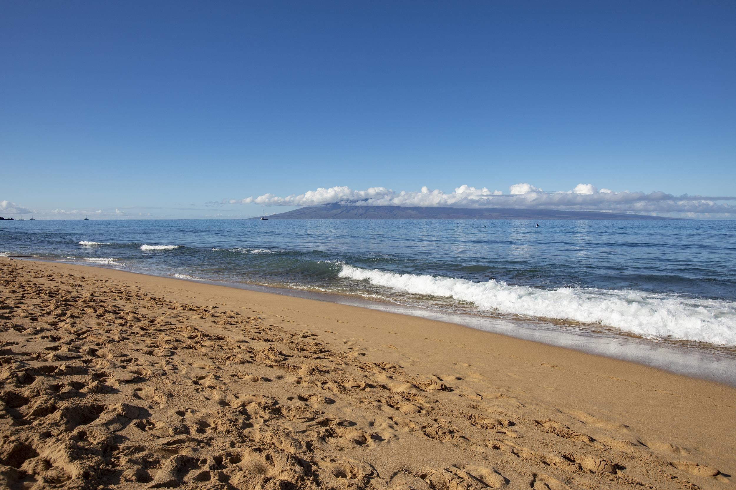 130 Kai Malina Pkwy Unit: 423