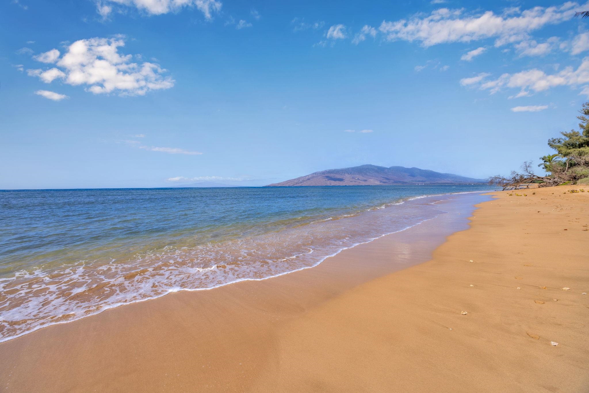 1450 S Kihei Rd Unit: C206