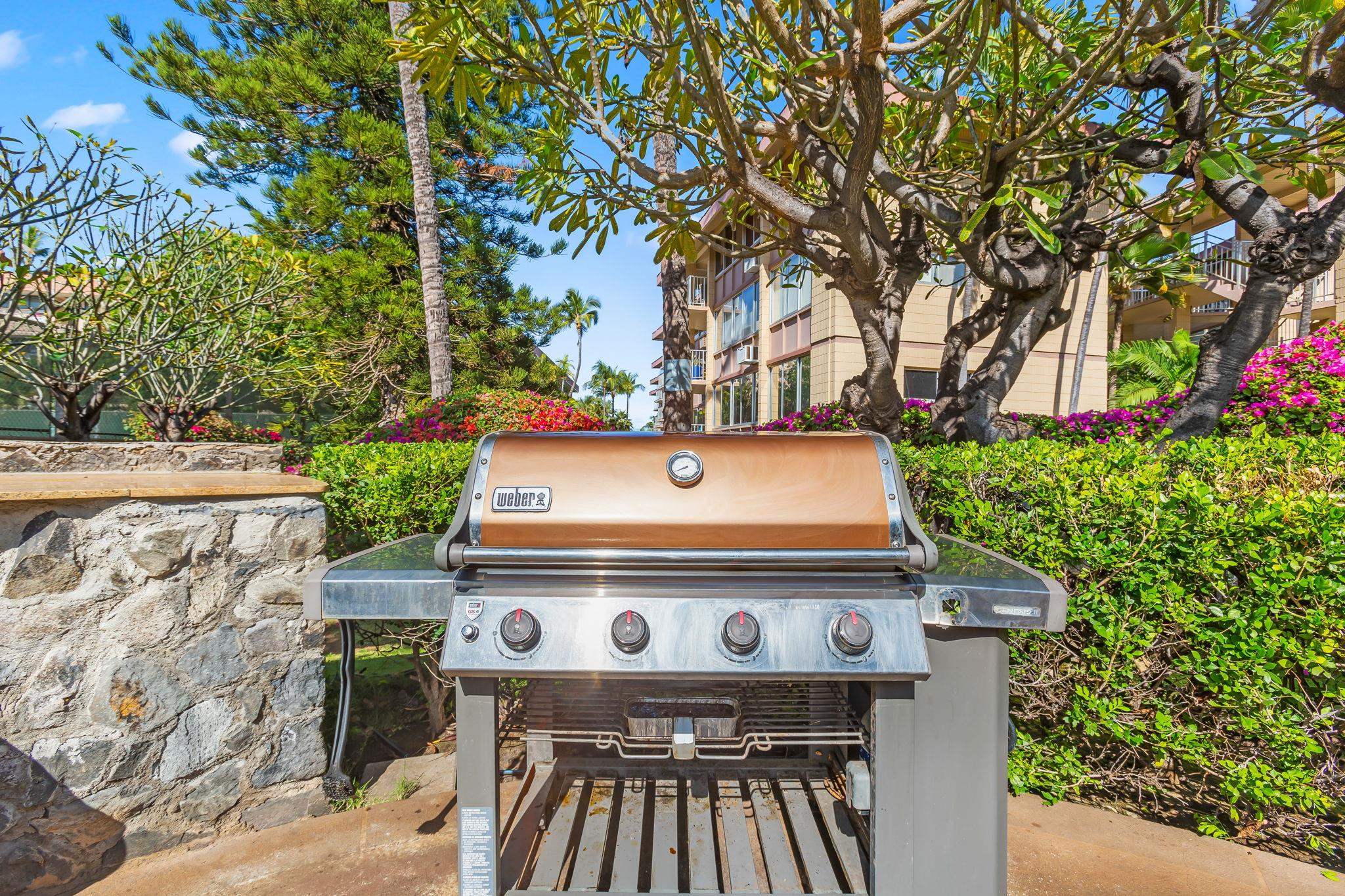 2619 S Kihei Rd Unit: A403