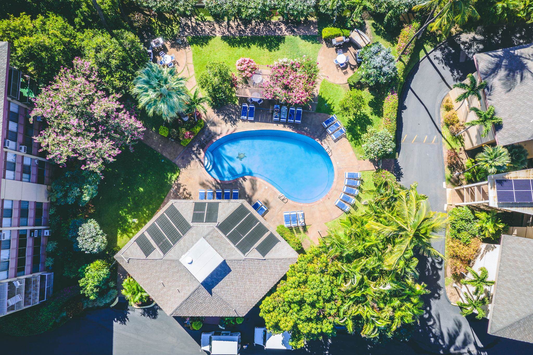 2619 S Kihei Rd Unit: A403