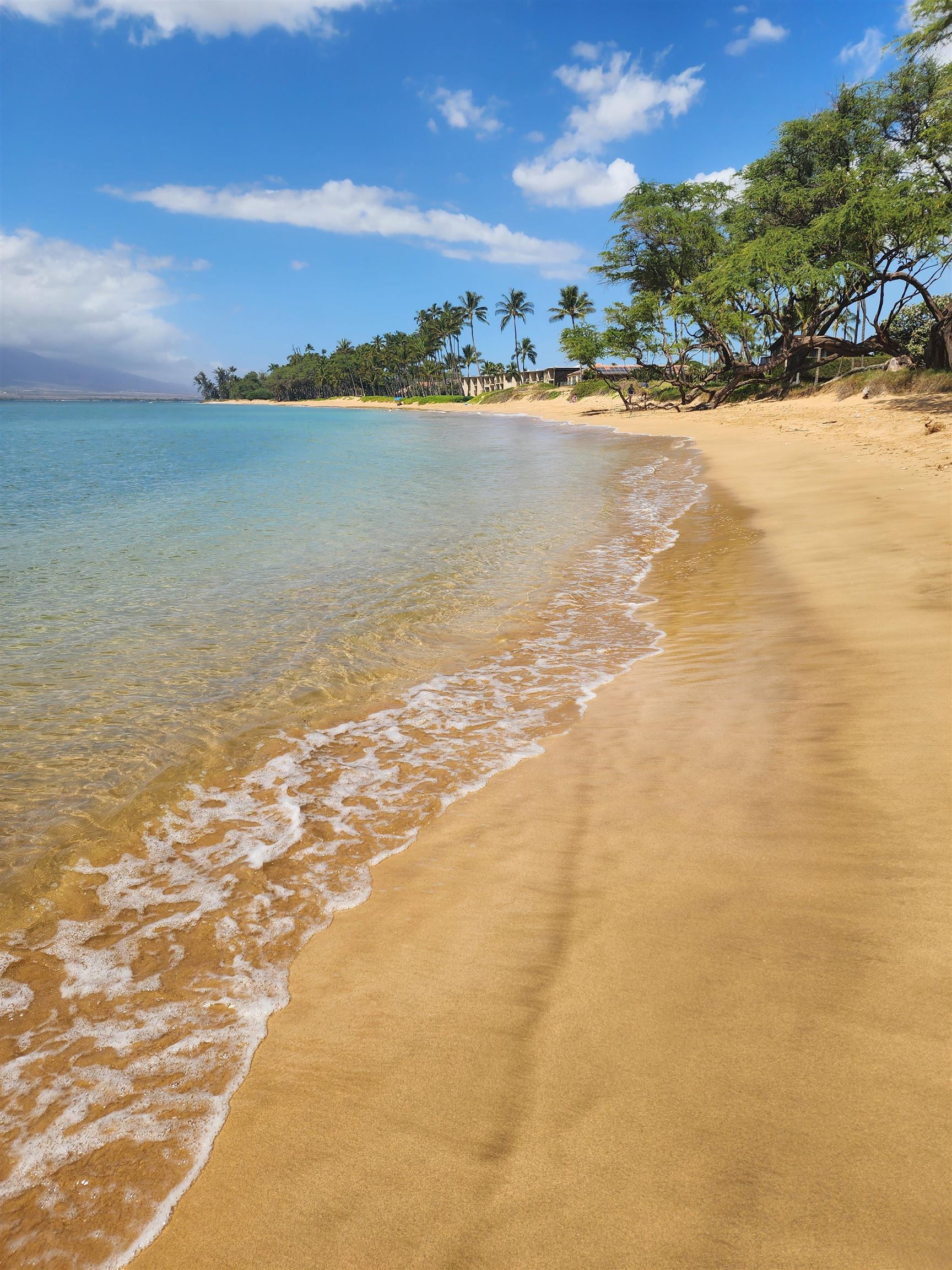 1299 ULUNIU Rd Unit: 103E