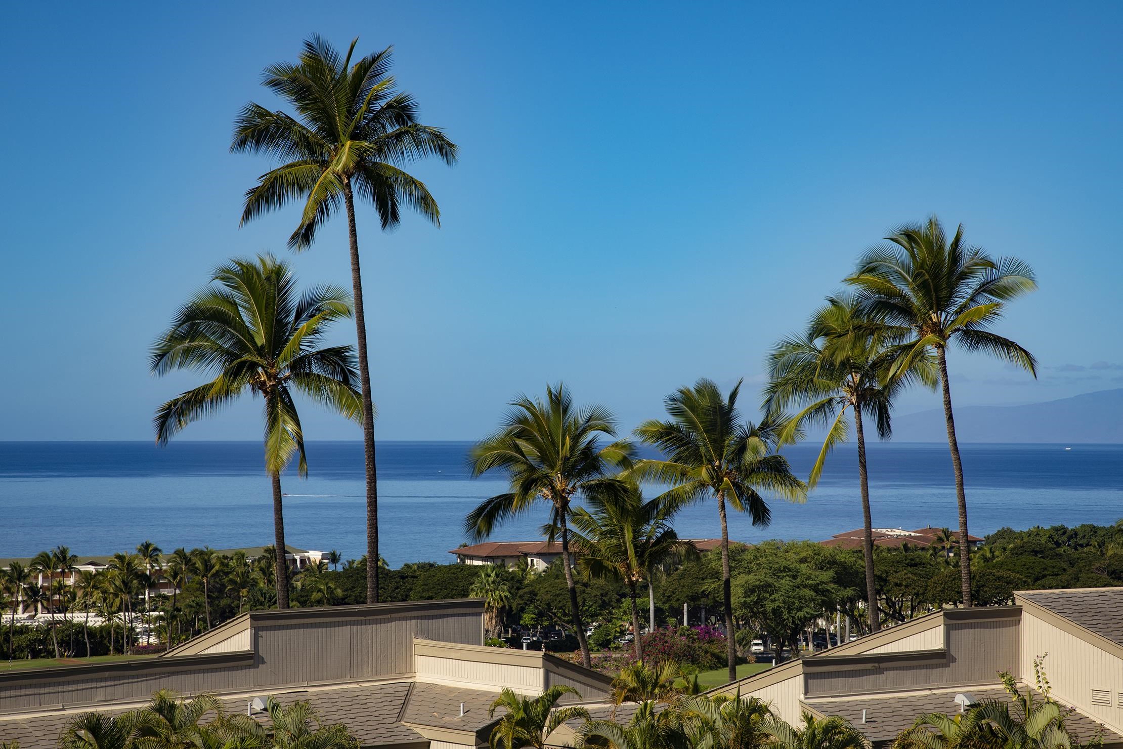 10 WAILEA EKOLU Pl Unit: 408