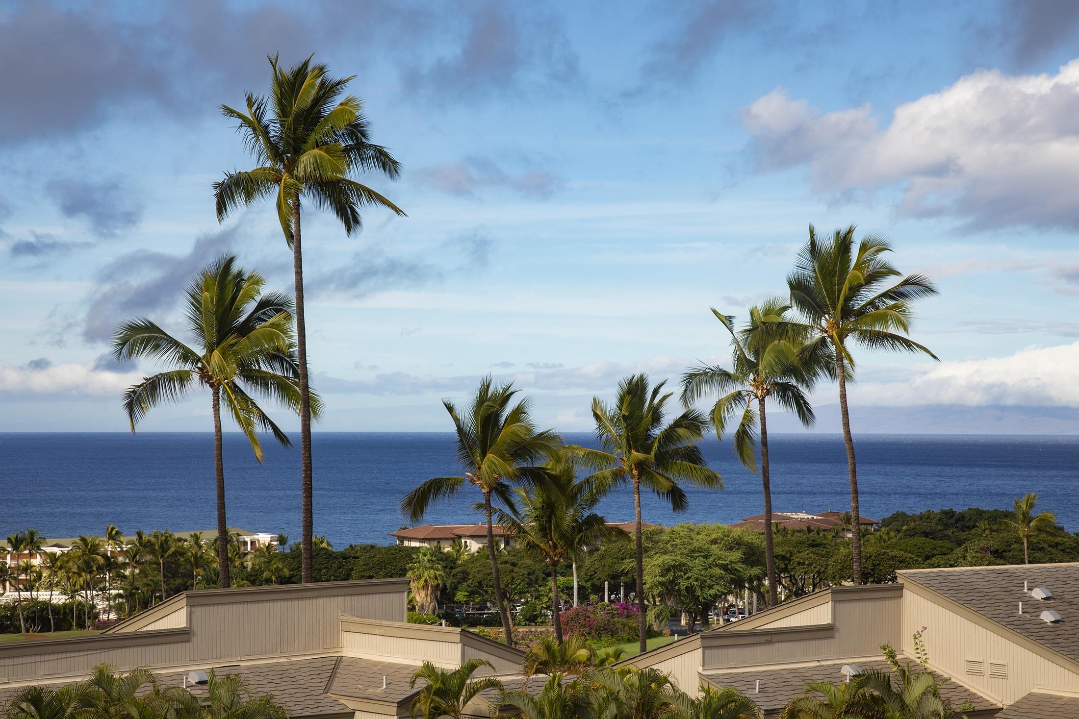 10 WAILEA EKOLU Pl Unit: 408