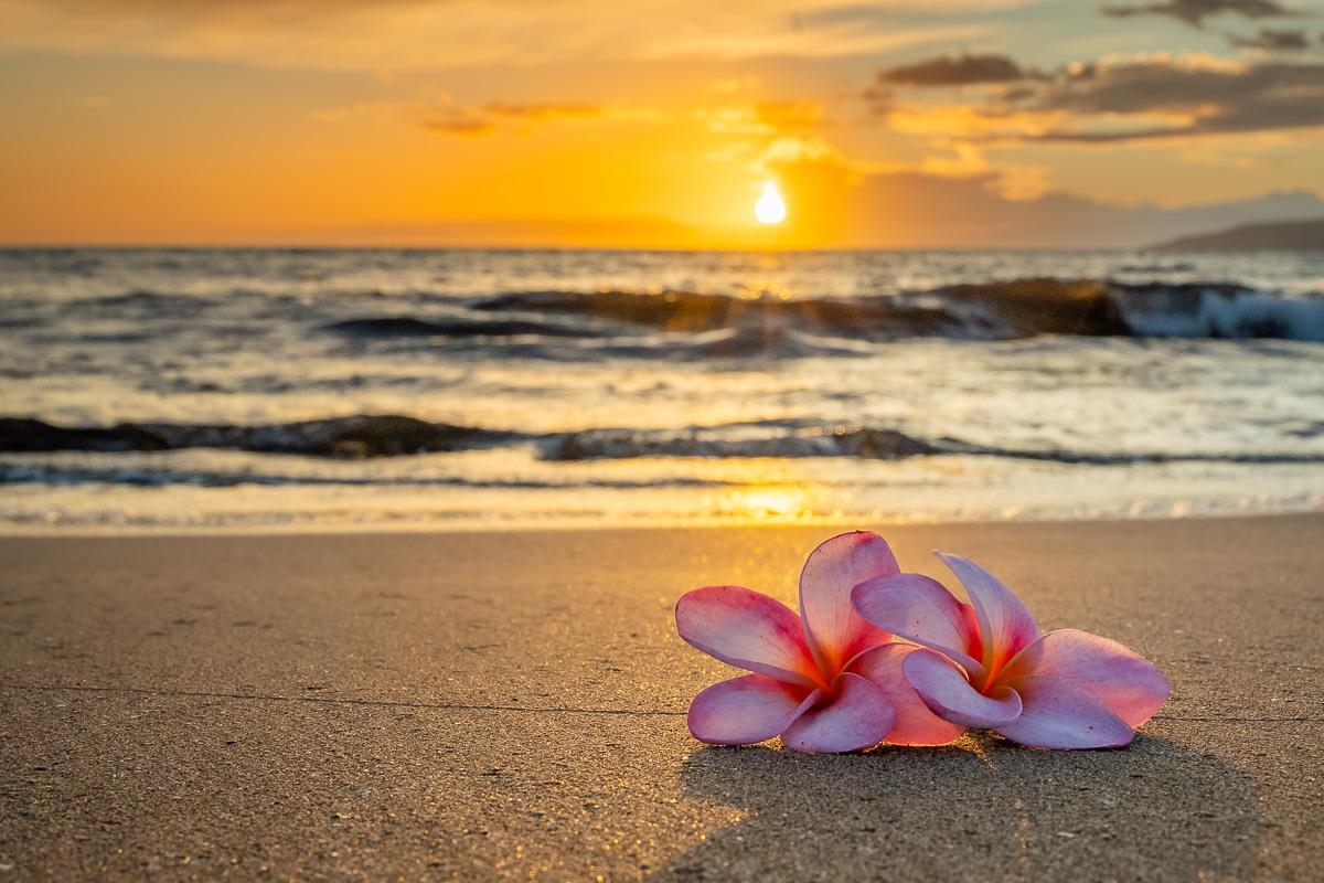 25 Wailana Pl Unit: 6