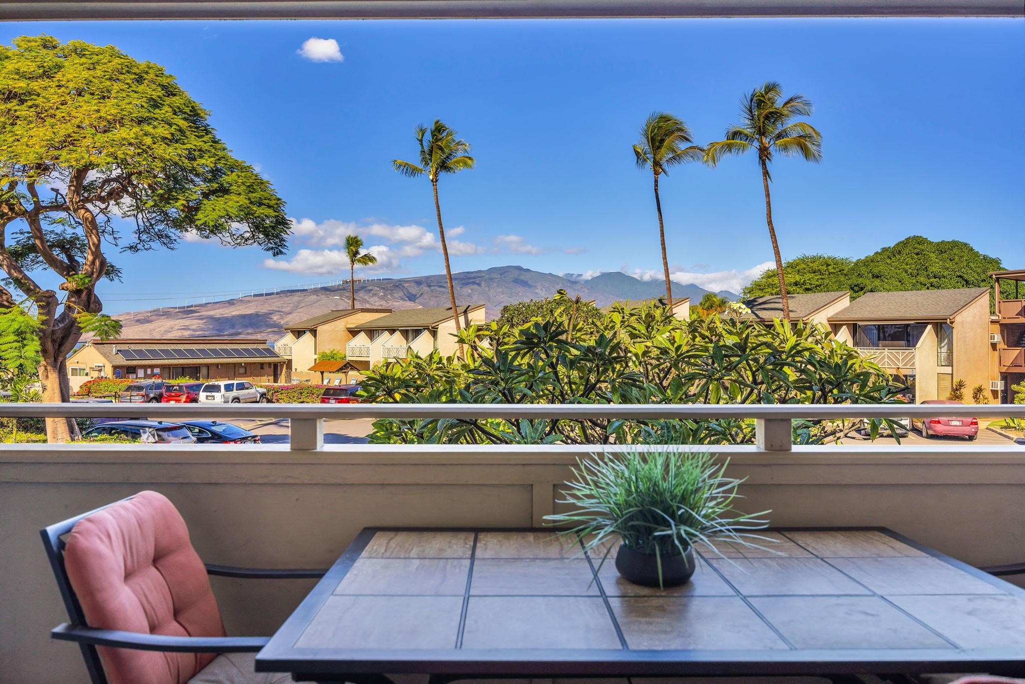 483 S Kihei Rd Unit: 215