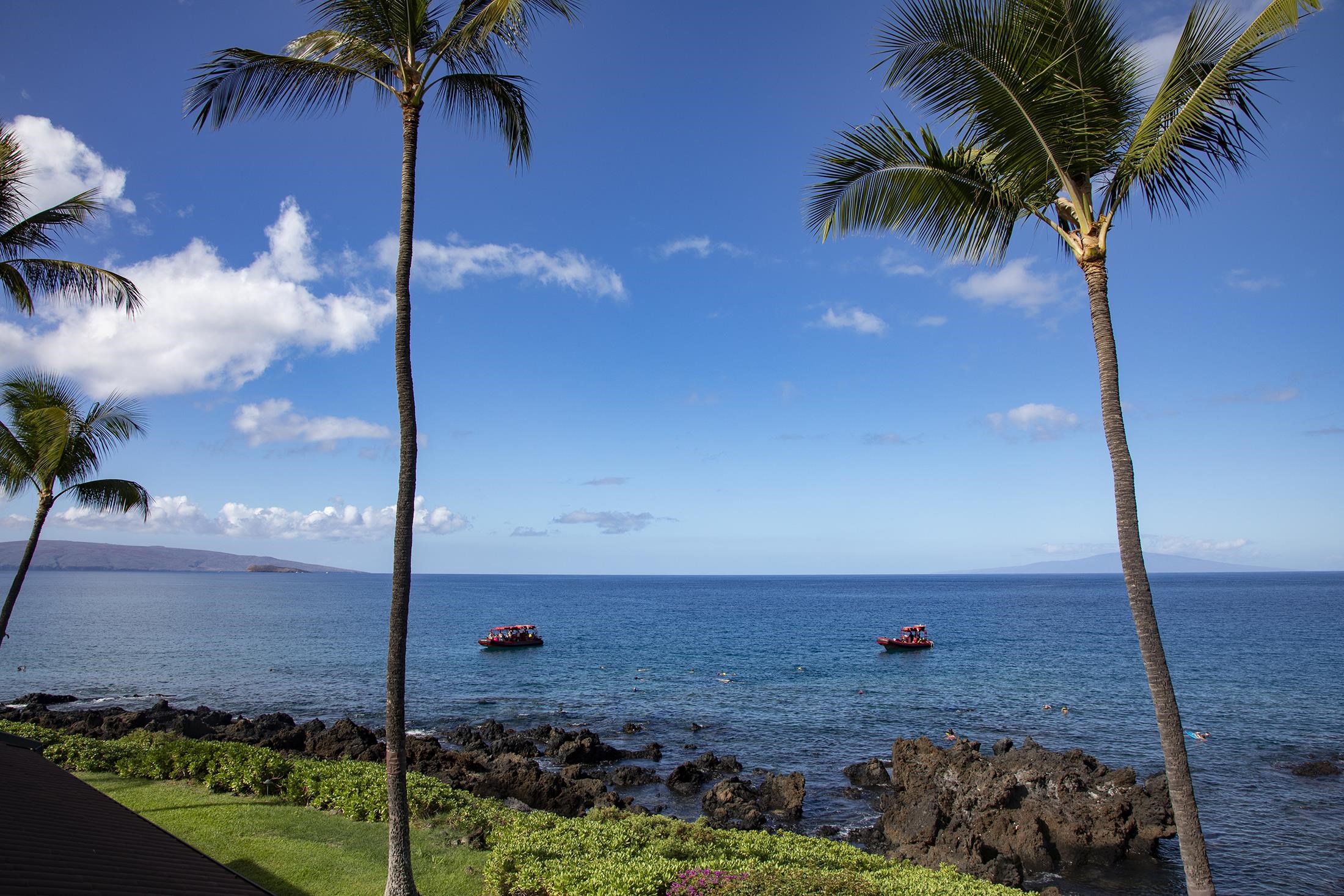 4850 MAKENA ALANUI Rd Unit: F-207