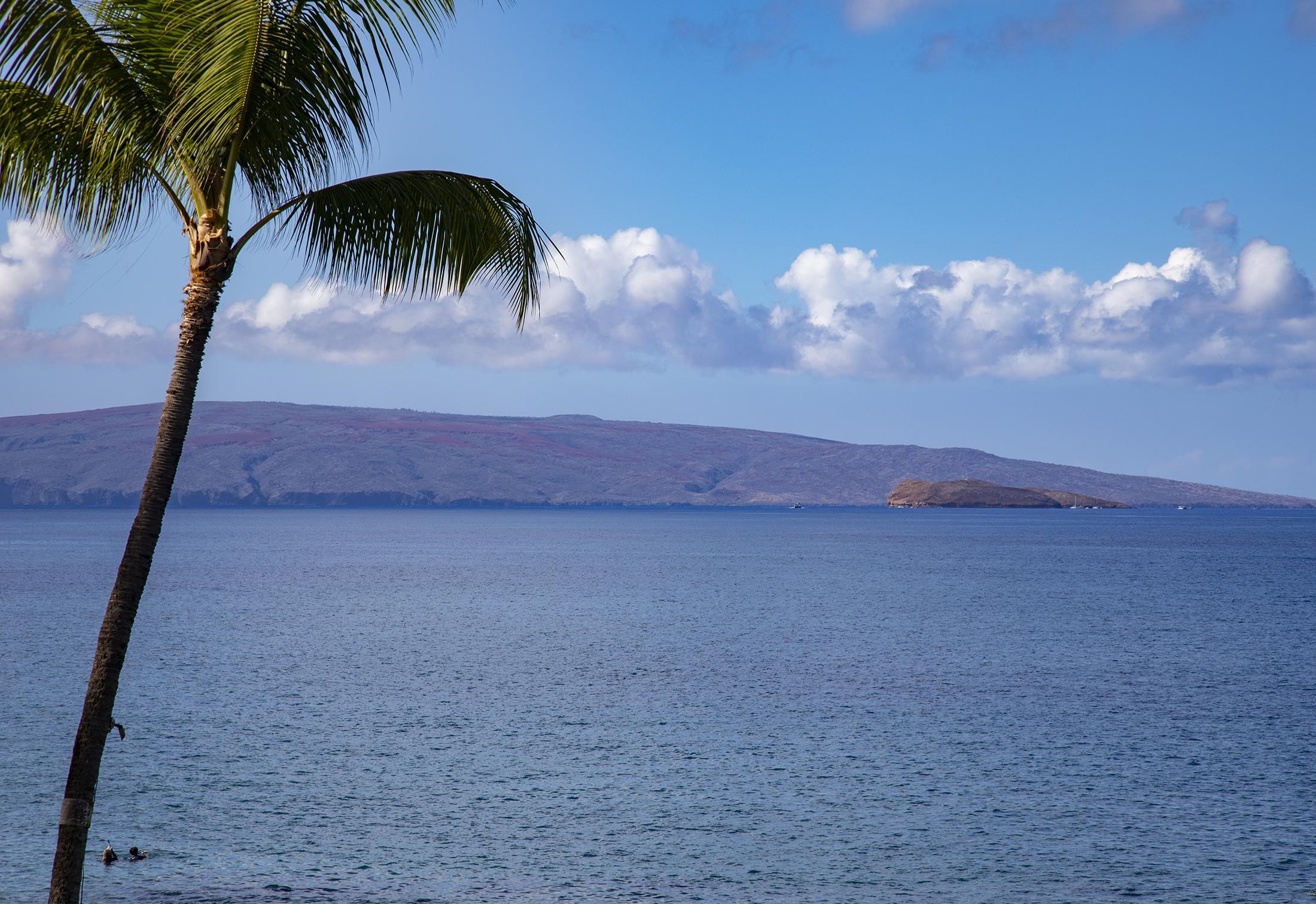 4850 MAKENA ALANUI Rd Unit: F-207