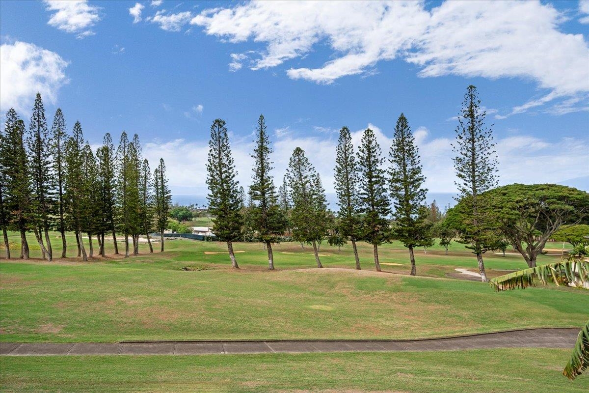 500 KAPALUA Dr Unit: 26T8