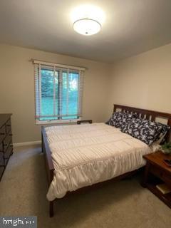 6531 RIMROCK RD