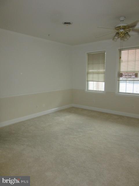 11 ROSEWOOD COURT 101